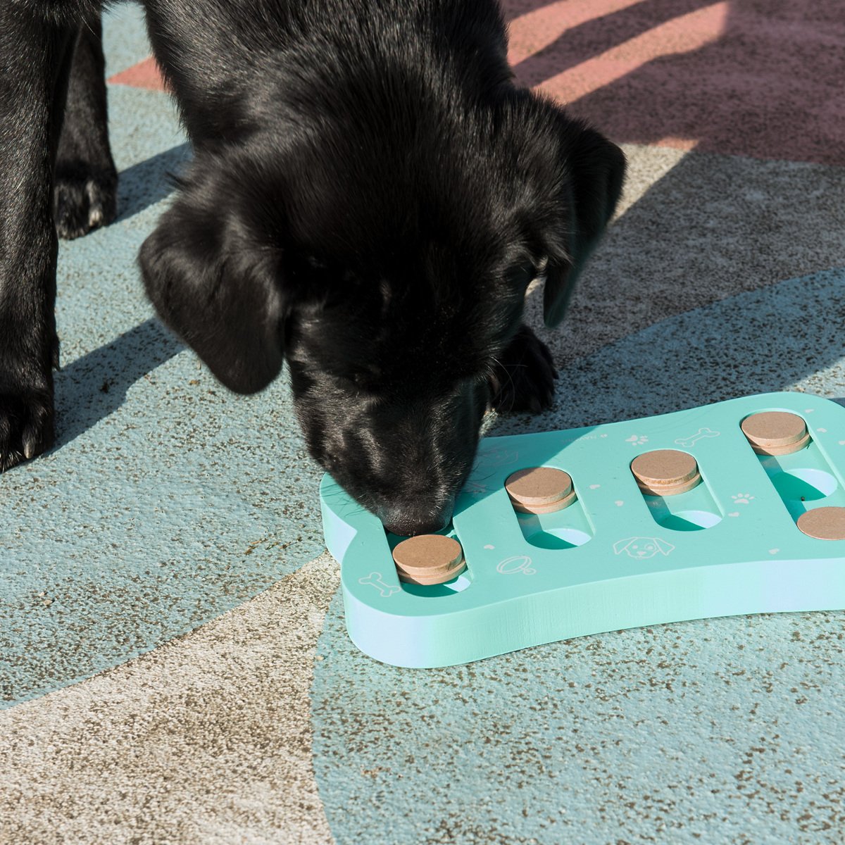 navaris-animals-hundespielzeug-intelligenz-strategiespiel image 2