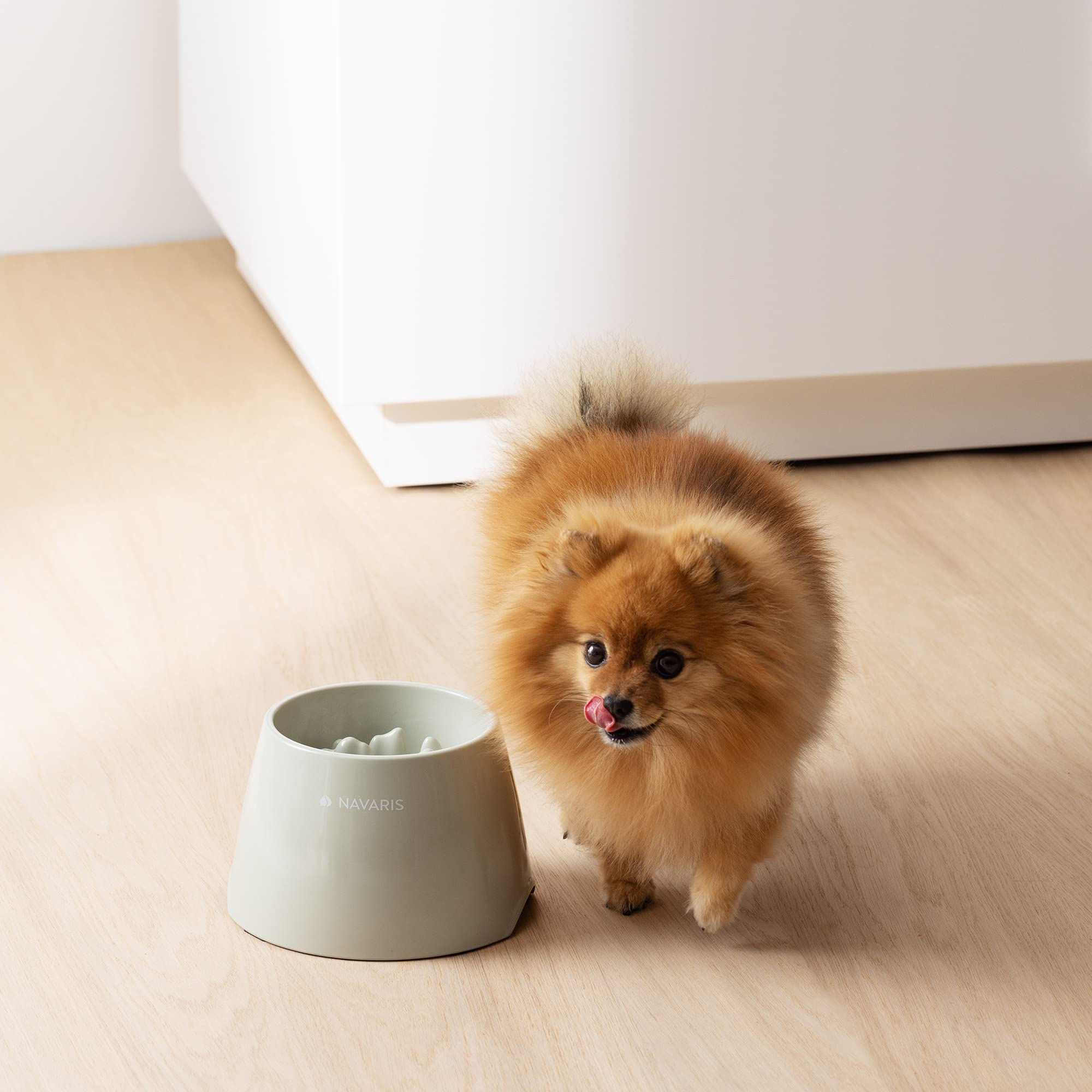 navaris-animals-anti-schling-napf-hund-katze-erh-ht image 2