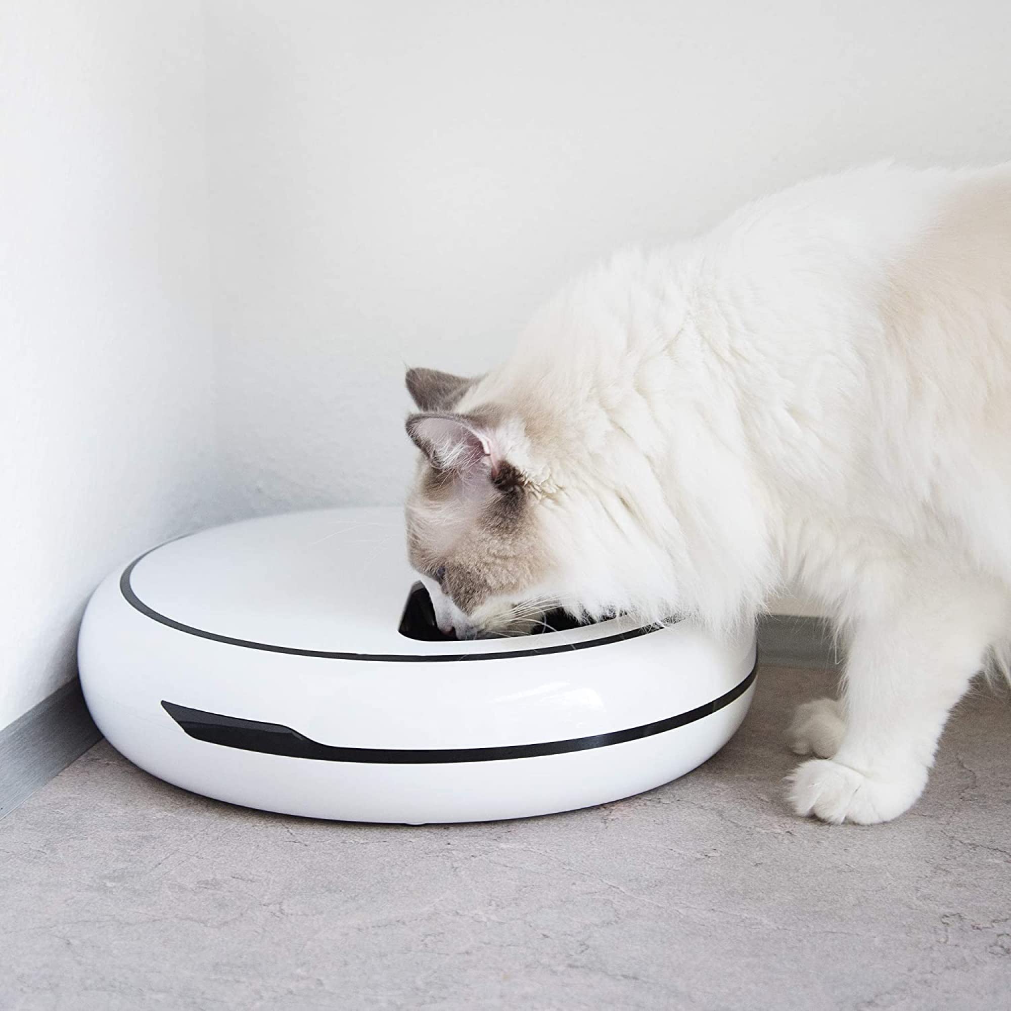 navaris-futterautomat-1-6l-timer-futterspender-katze-hund image 2