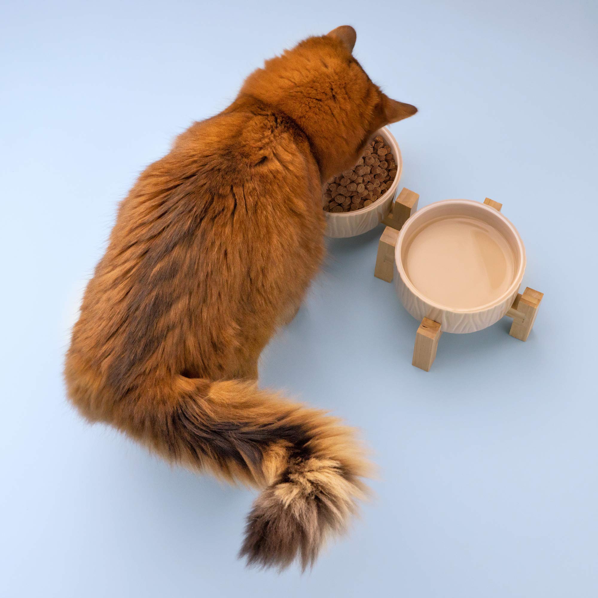navaris-animals-futternapf-katze-keramik-2x-400-ml-beige image 6