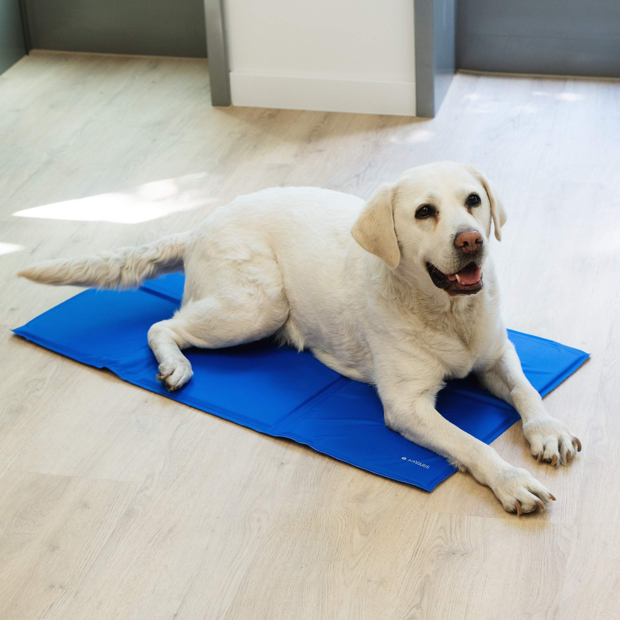 navaris-animals-k-hlmatte-hund-81x96cm-selbstk-hlend image 2