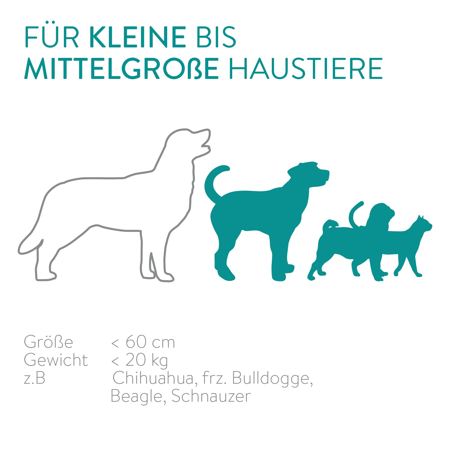 navaris-futterautomat-6l-timer-futterspender-display-katze-hund image 5