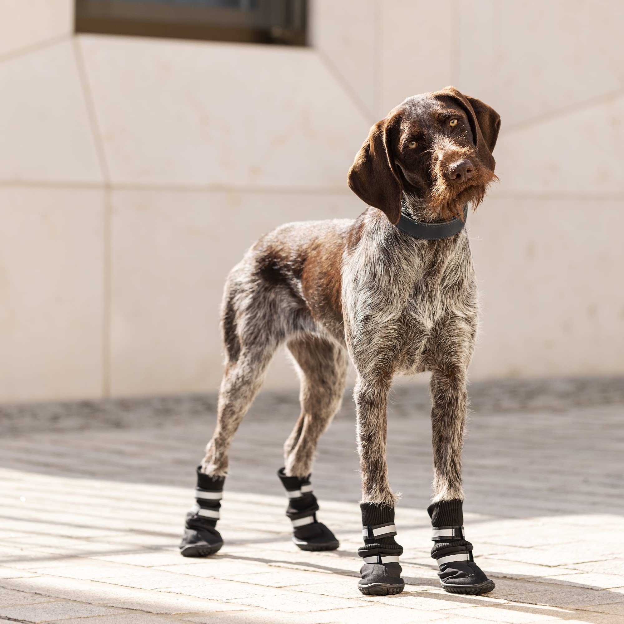 navaris-animals-pfotenschutz-hundeschuhe-gr-m-4er-set image 2