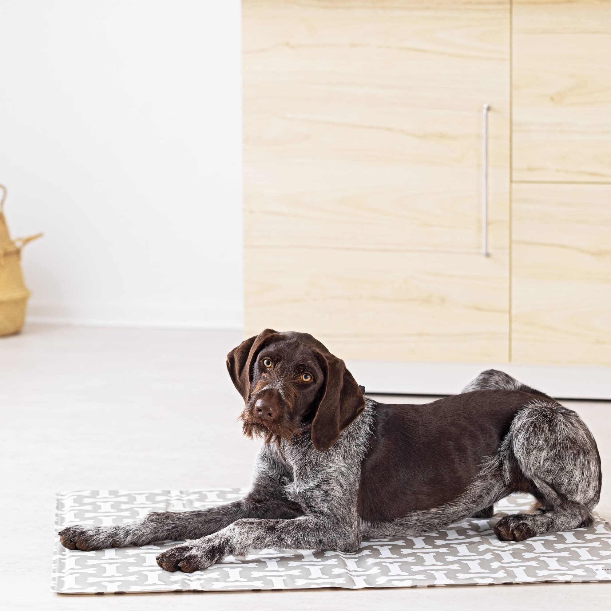 navaris-k-hlmatte-hund-katze-81x96-cm-selbstk-hlend-xl-gel image 8