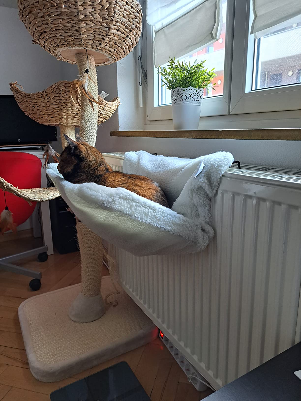 Brauchte Zeit