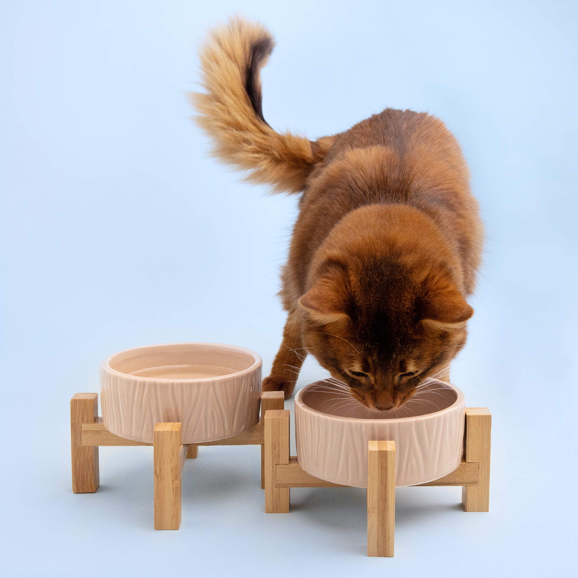 navaris-animals-futternapf-katze-keramik-2x-400-ml-beige image 2