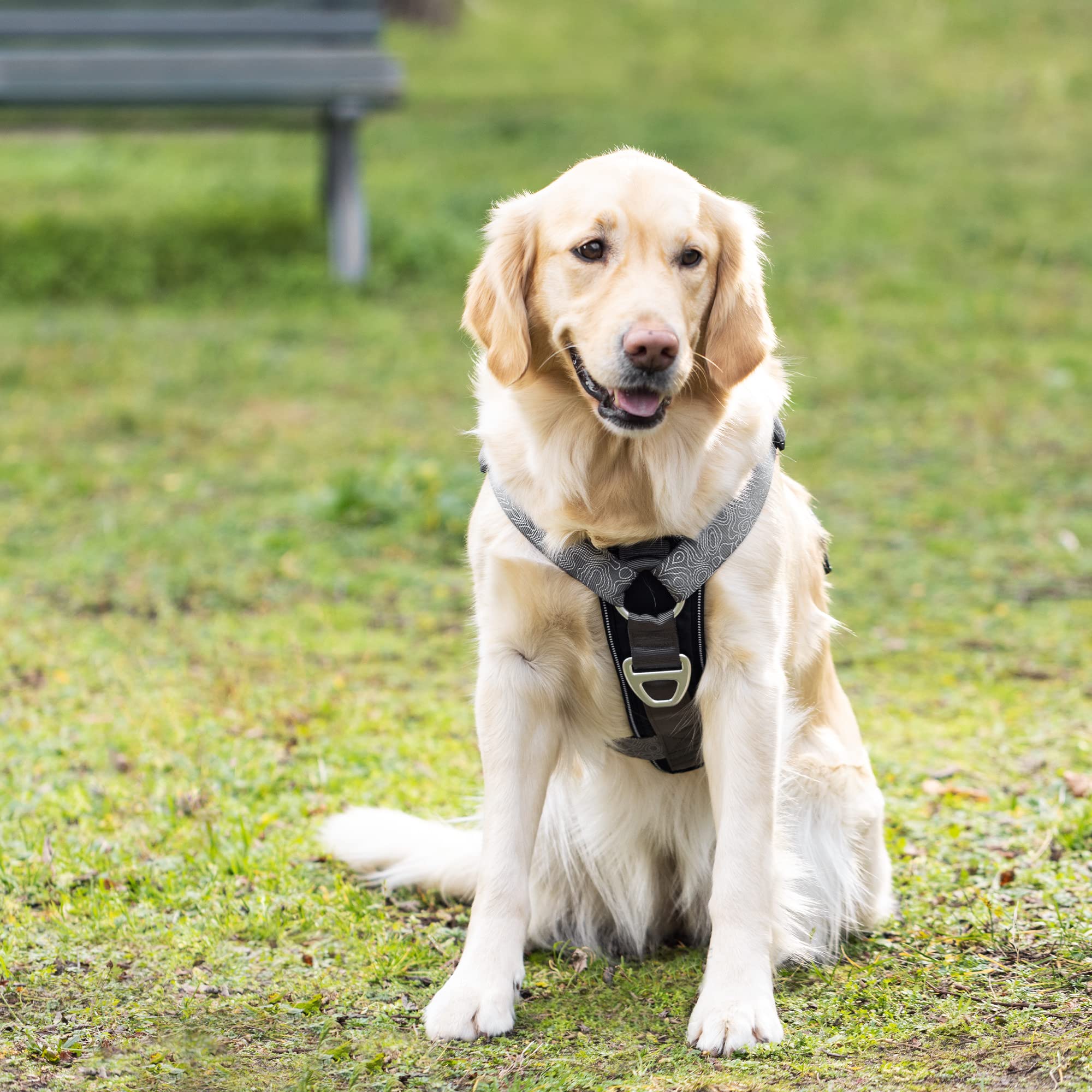 navaris-animals-hundegeschirr-wandern-xl-mit-taschen-anti-zug image 2