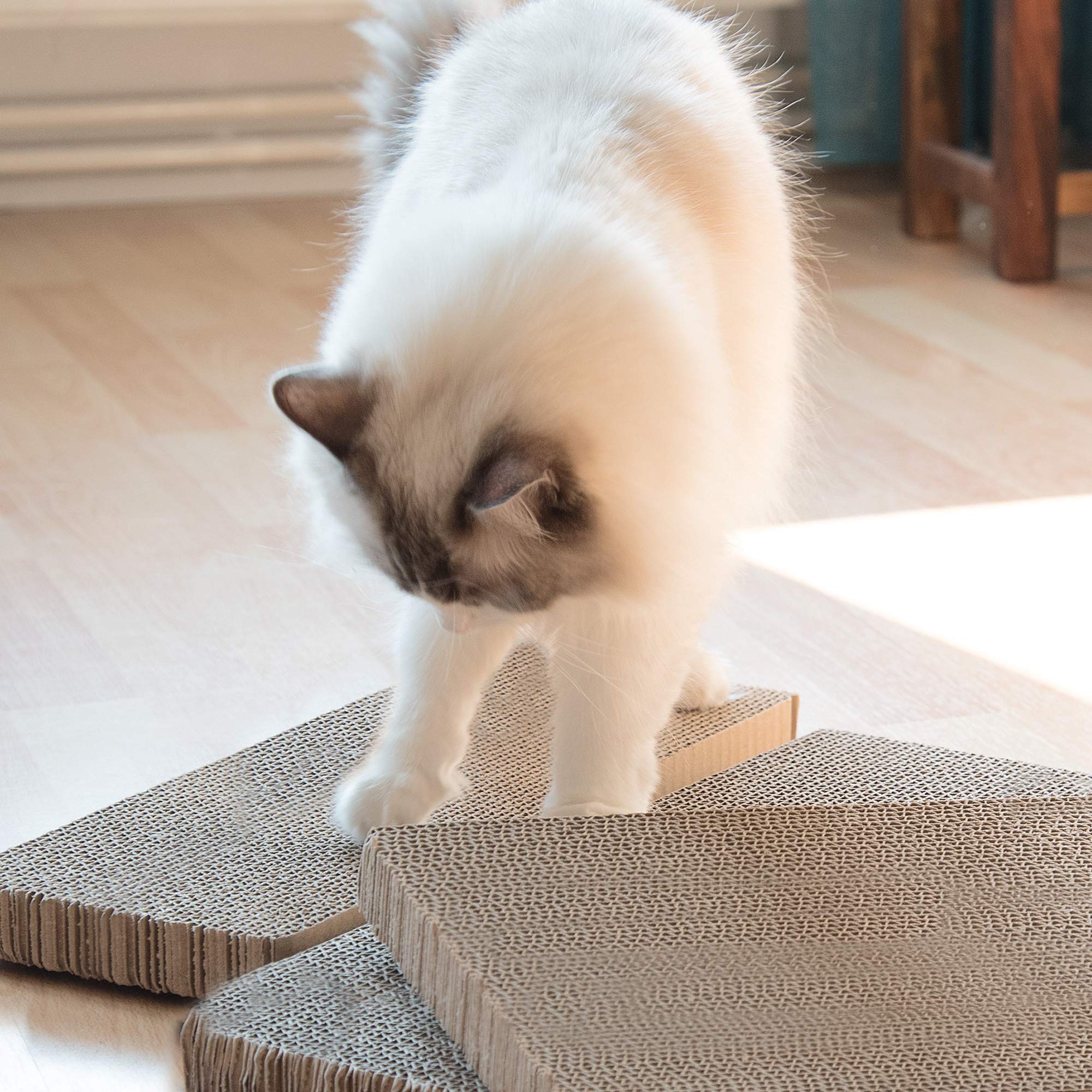 navaris-katzen-kratzbrett-3er-set-karton-43x24cm-beidseitig image 2