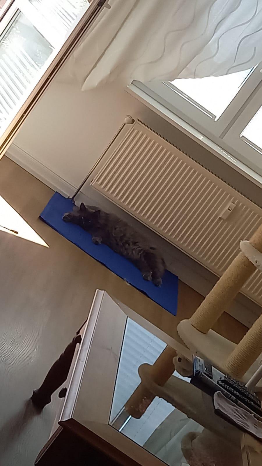 Praktische Größe