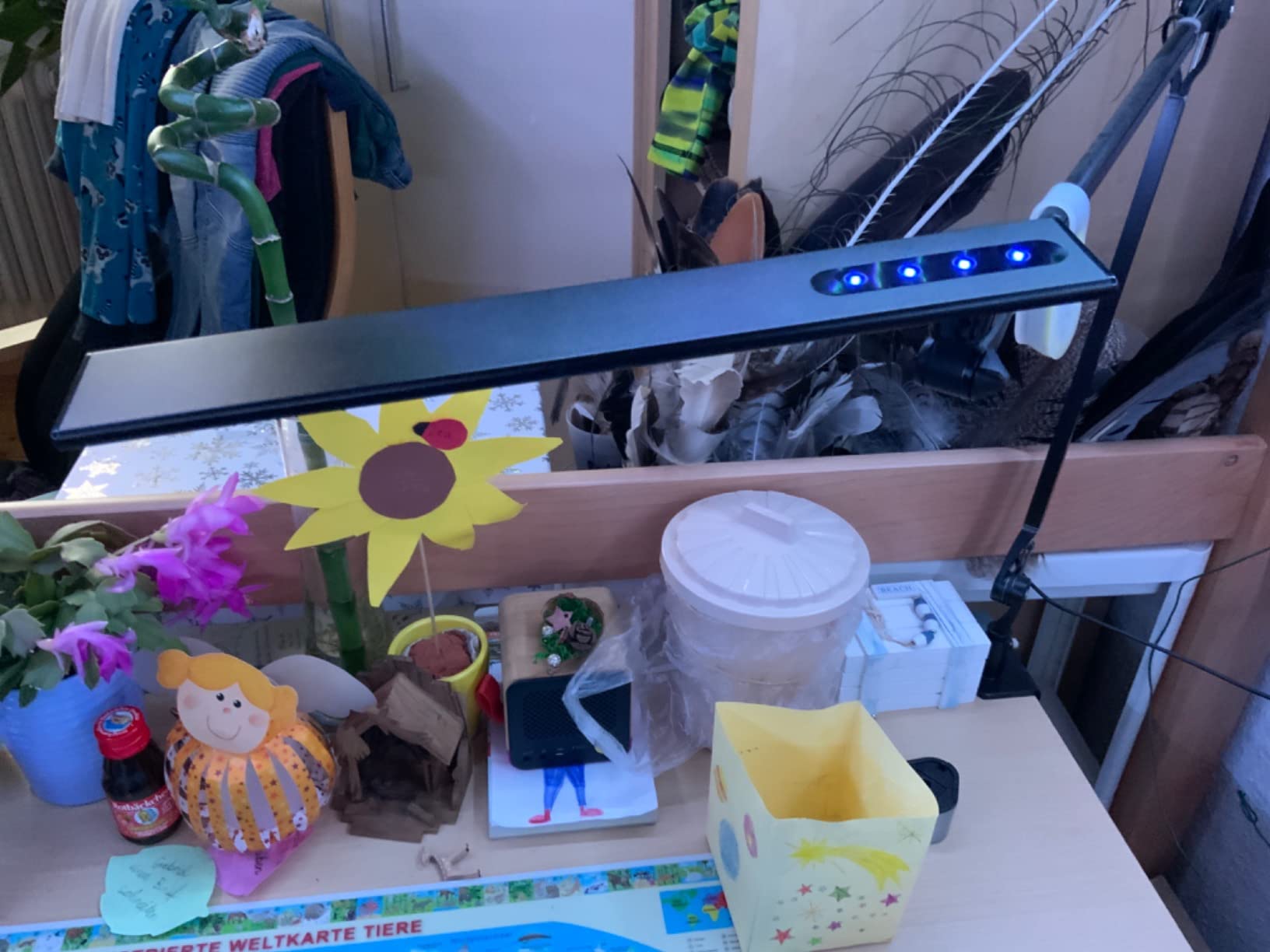 Gut fürs Büro