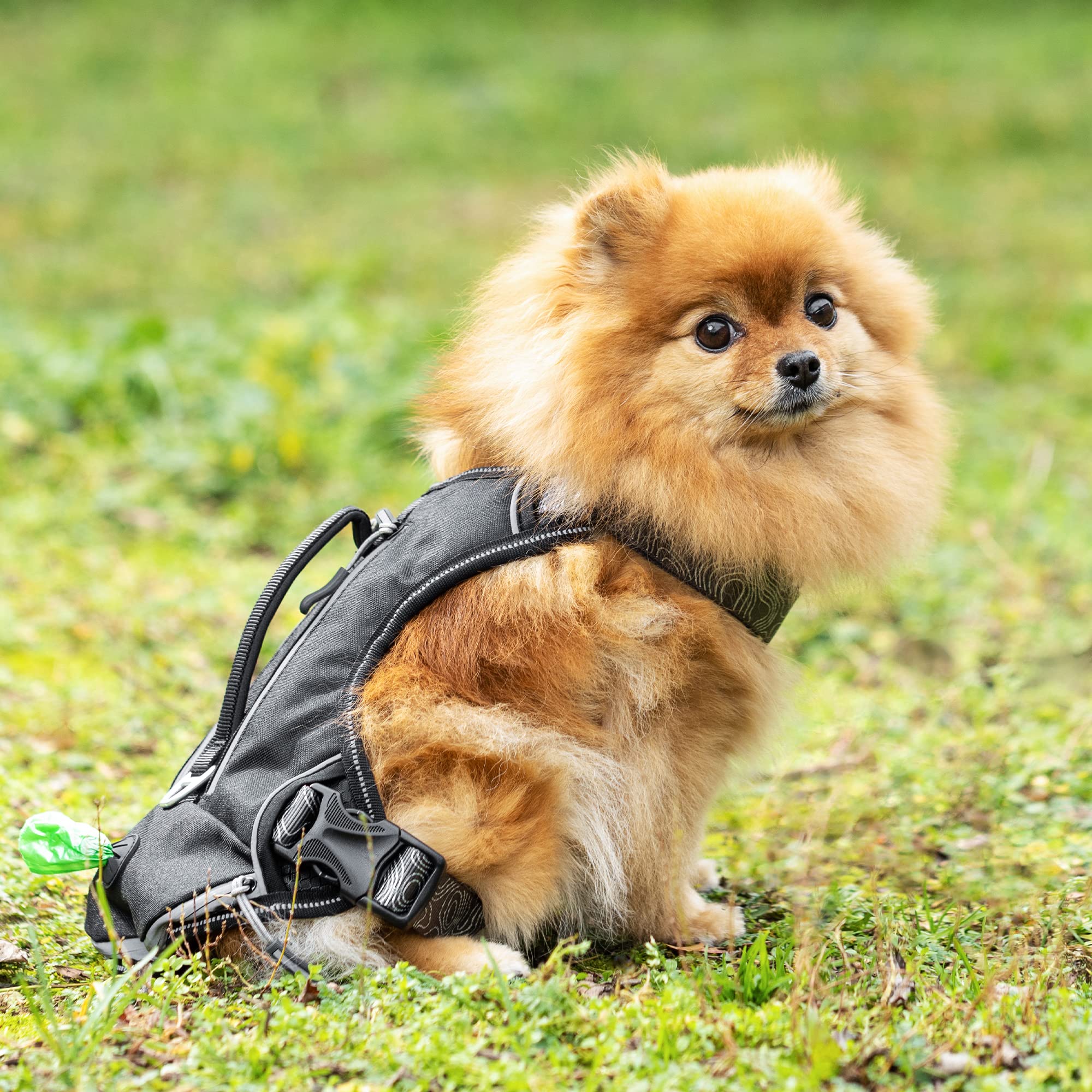 navaris-animals-hundegeschirr-wandern-m-mit-taschen-anti-zug image 2