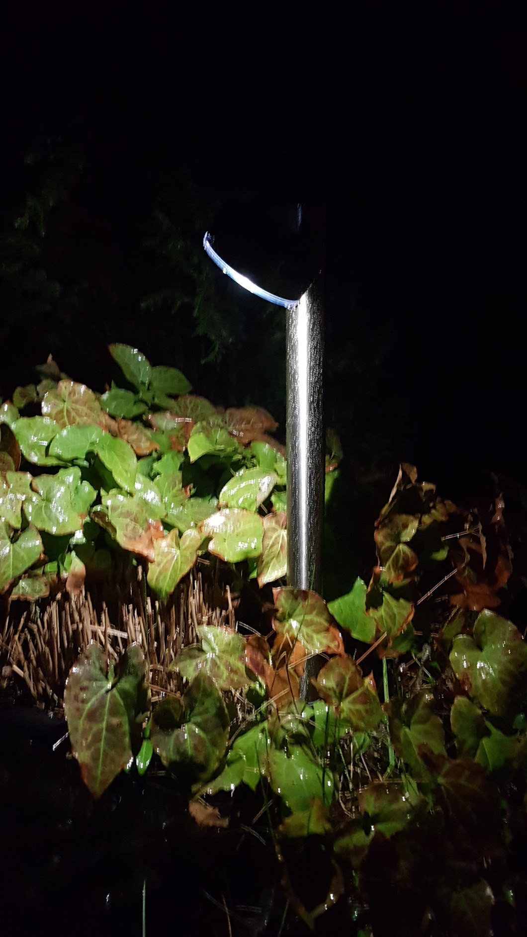Helles Licht