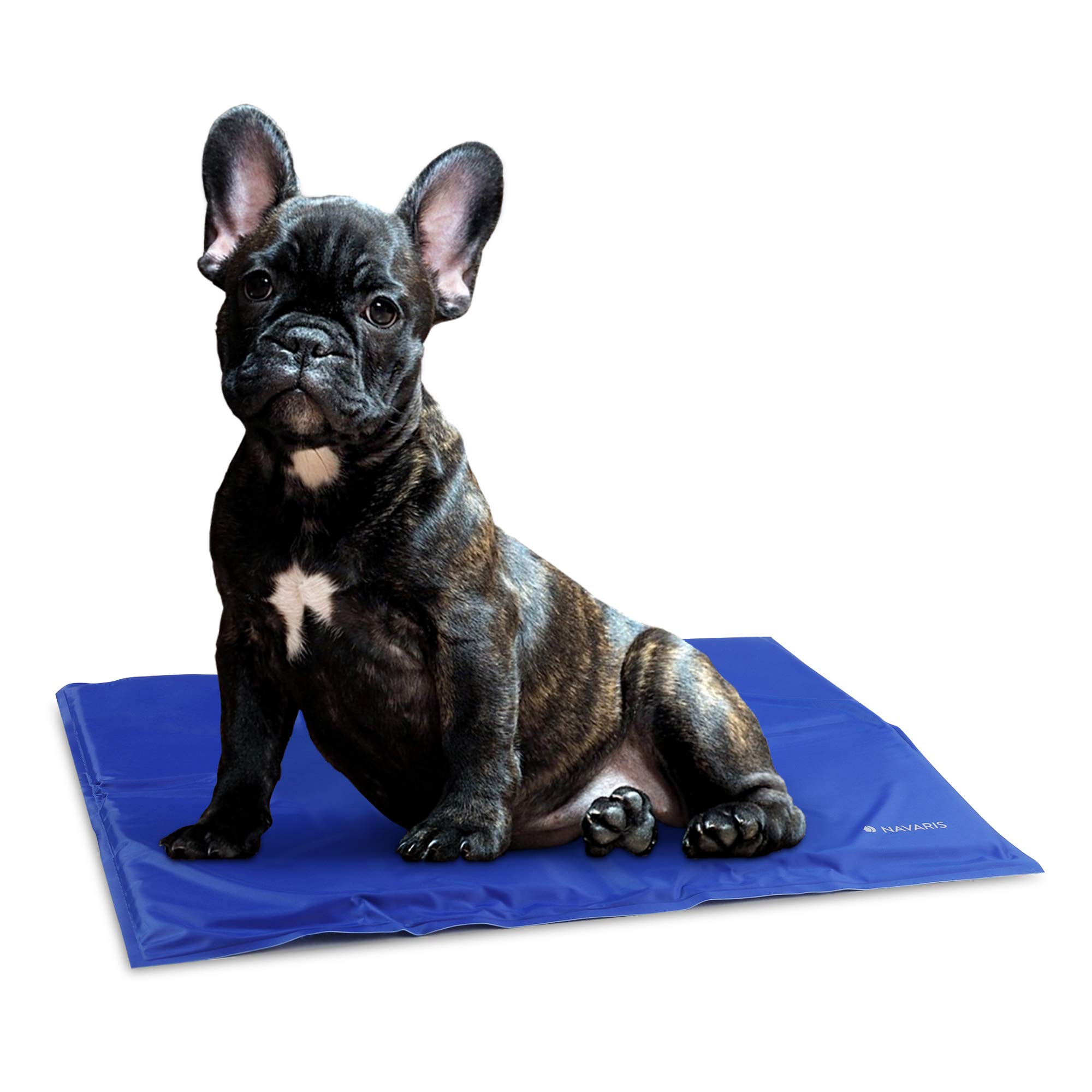 navaris-animals-k-hlmatte-hund-katze-40x50cm-gel-selbstk-hlend image 1
