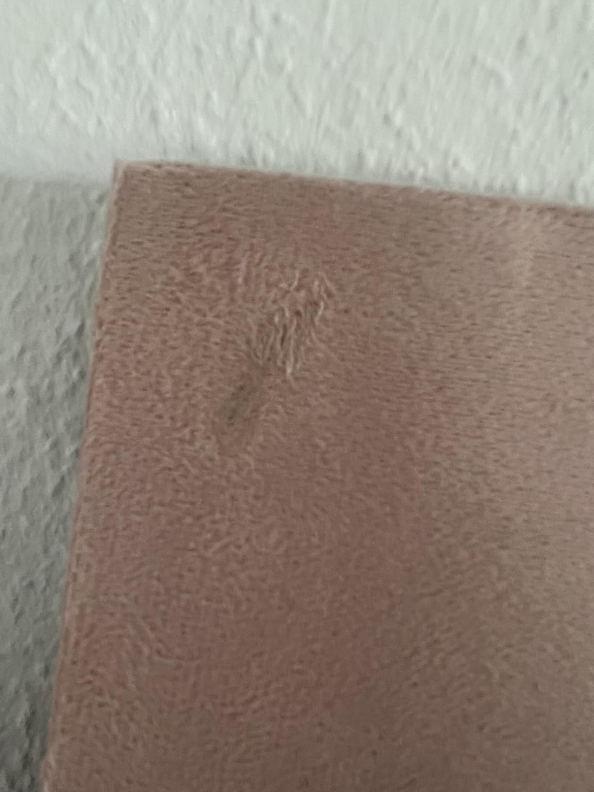 Süß im Zimmer