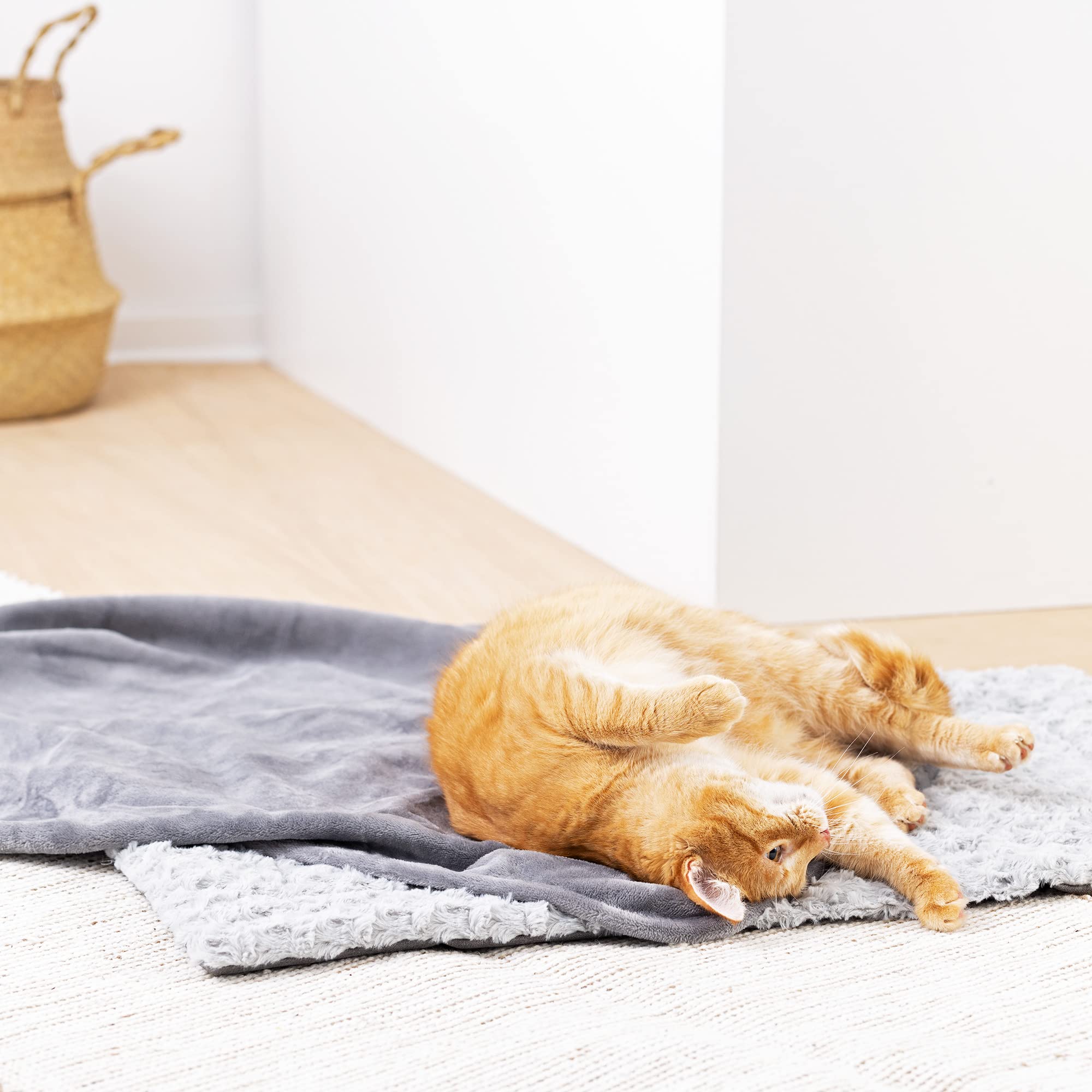 navaris-animals-hundebett-set-decke-110x80-waschbar image 8