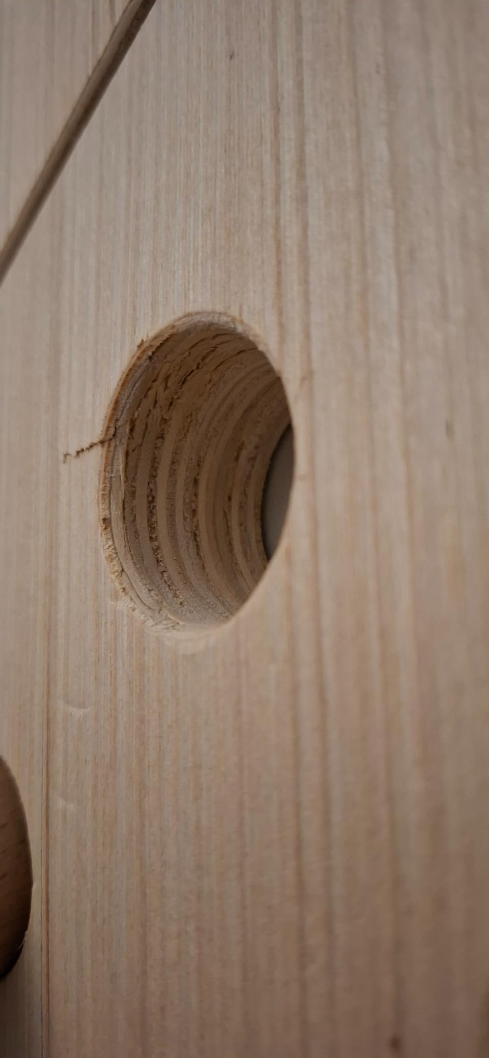 Gutes Holz