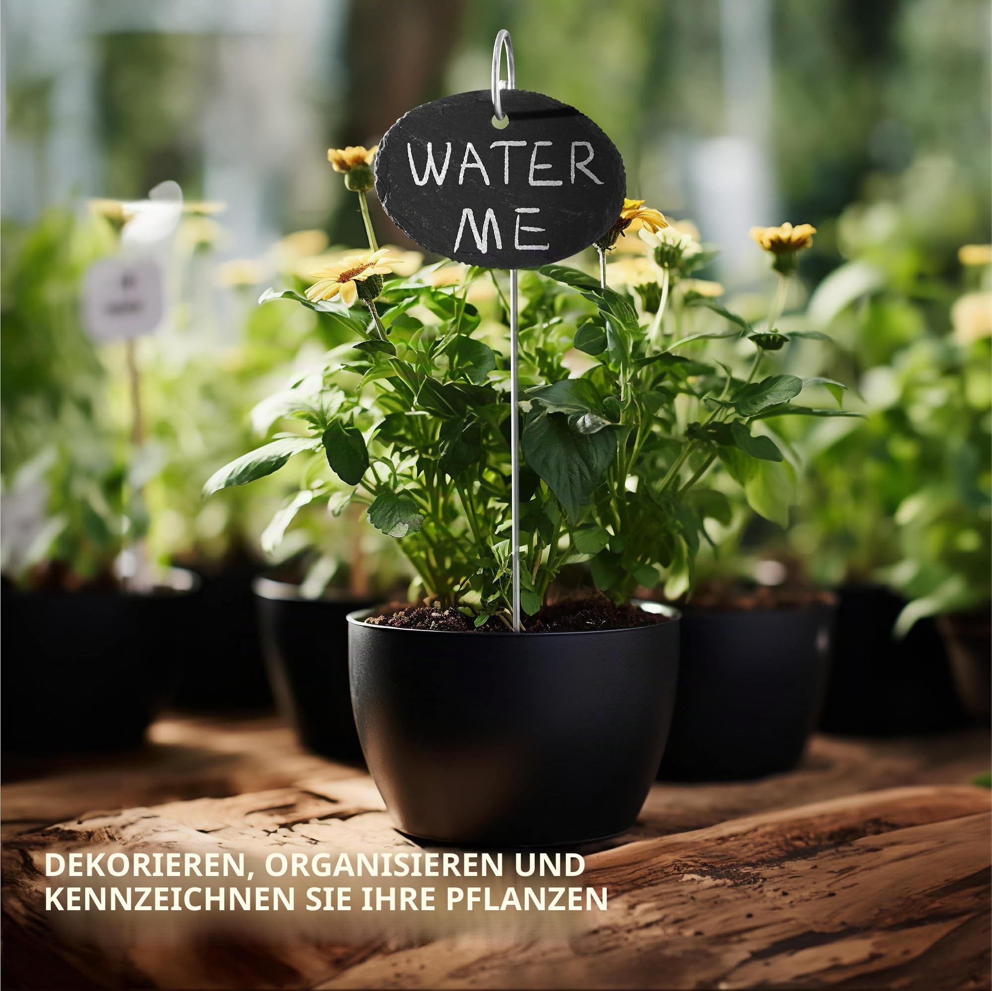navaris-garden-pflanzenschilder-schiefer-10er-set-oval-10x7cm image 2