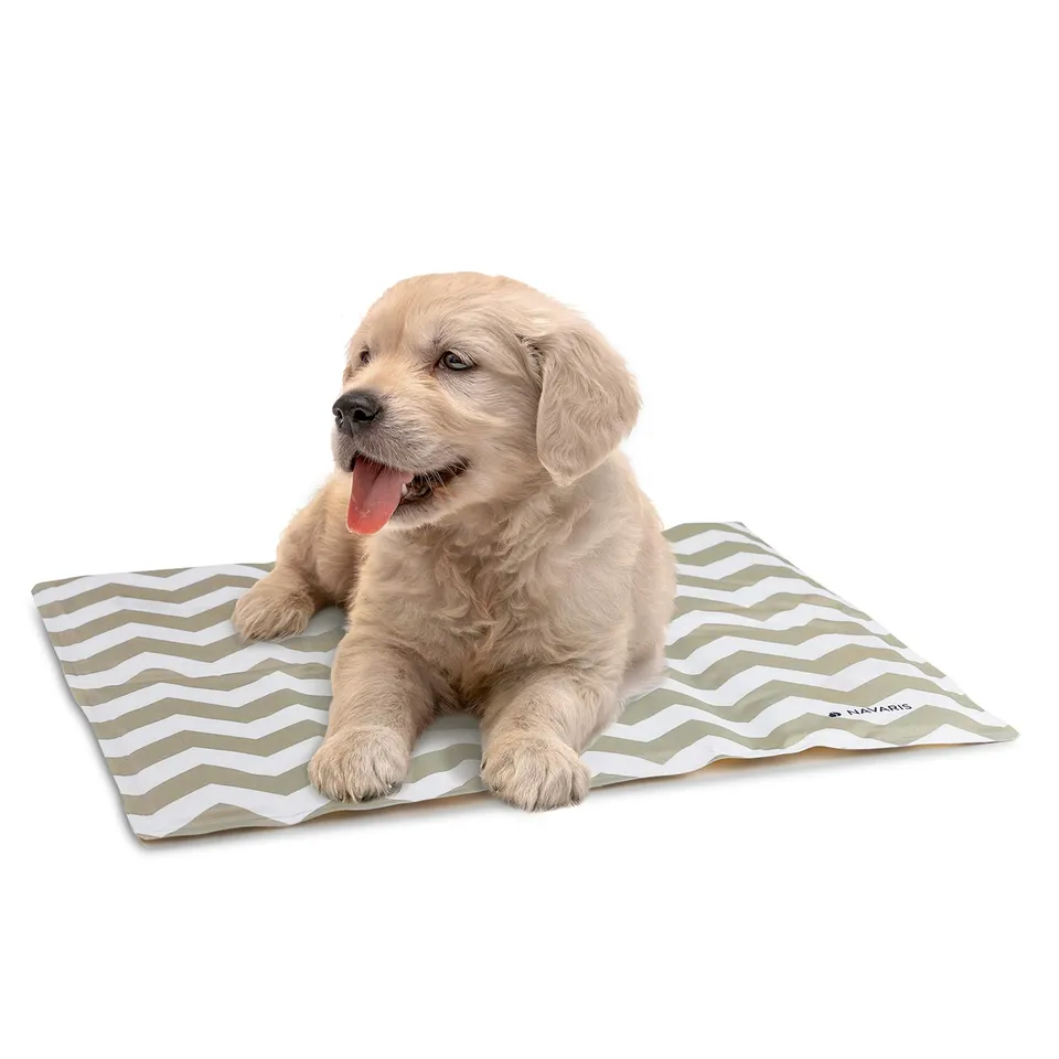 navaris-animals-k-hlmatte-40-x-50-cm-selbstk-hlend-kleine-hunde image 1