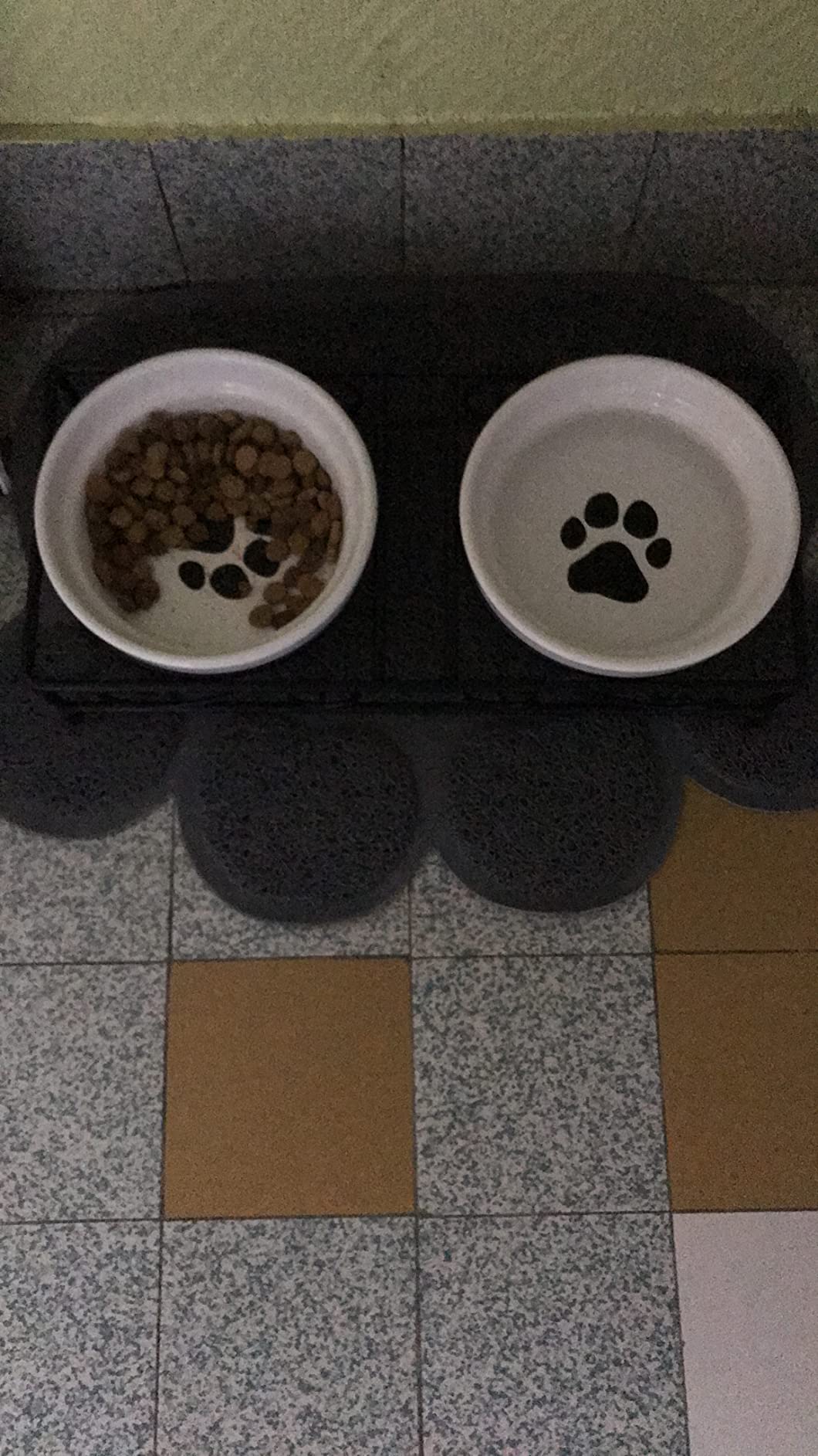 Super für Katzen