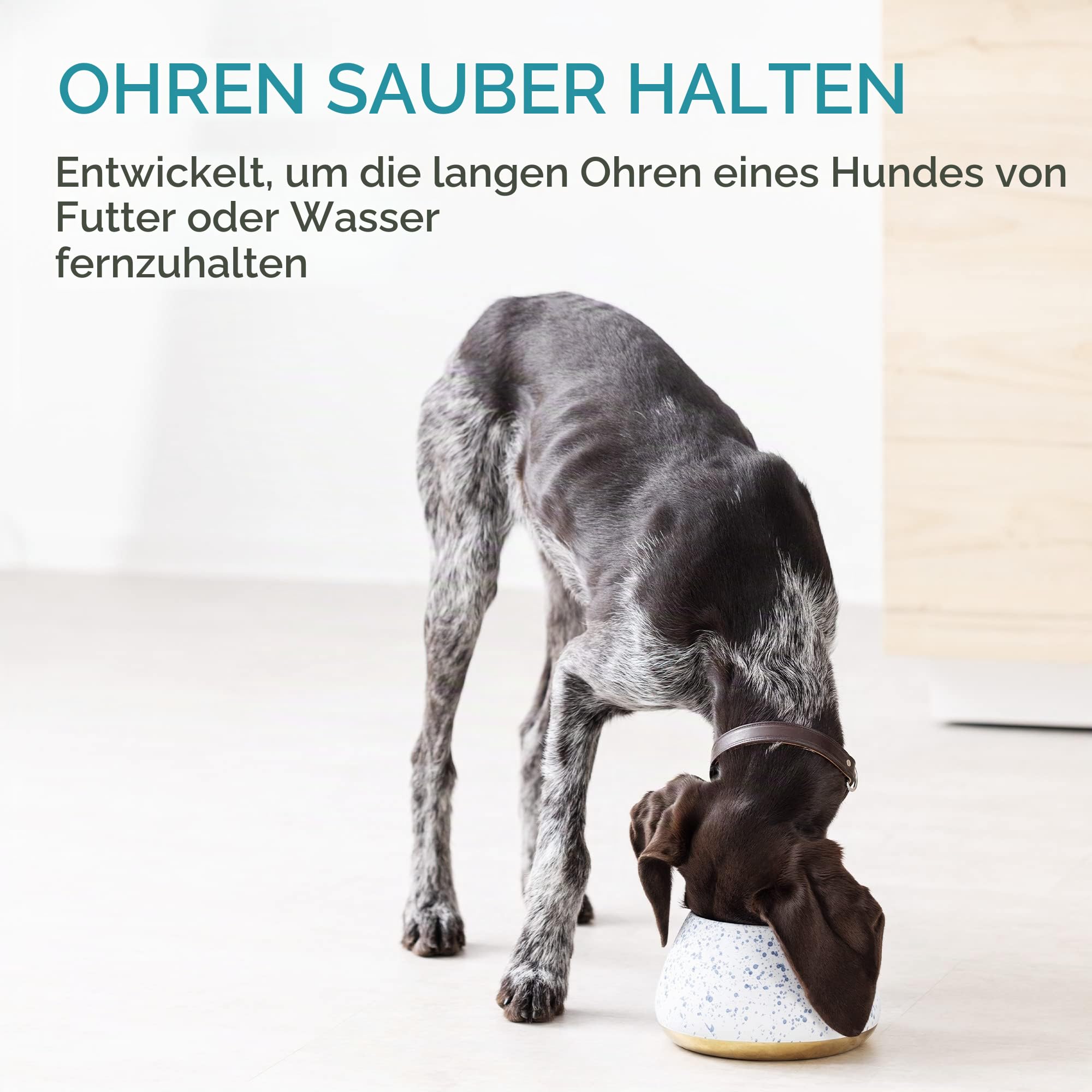 navaris-animals-futternapf-steingut-hoch-f-r-langohrige-hunde image 2