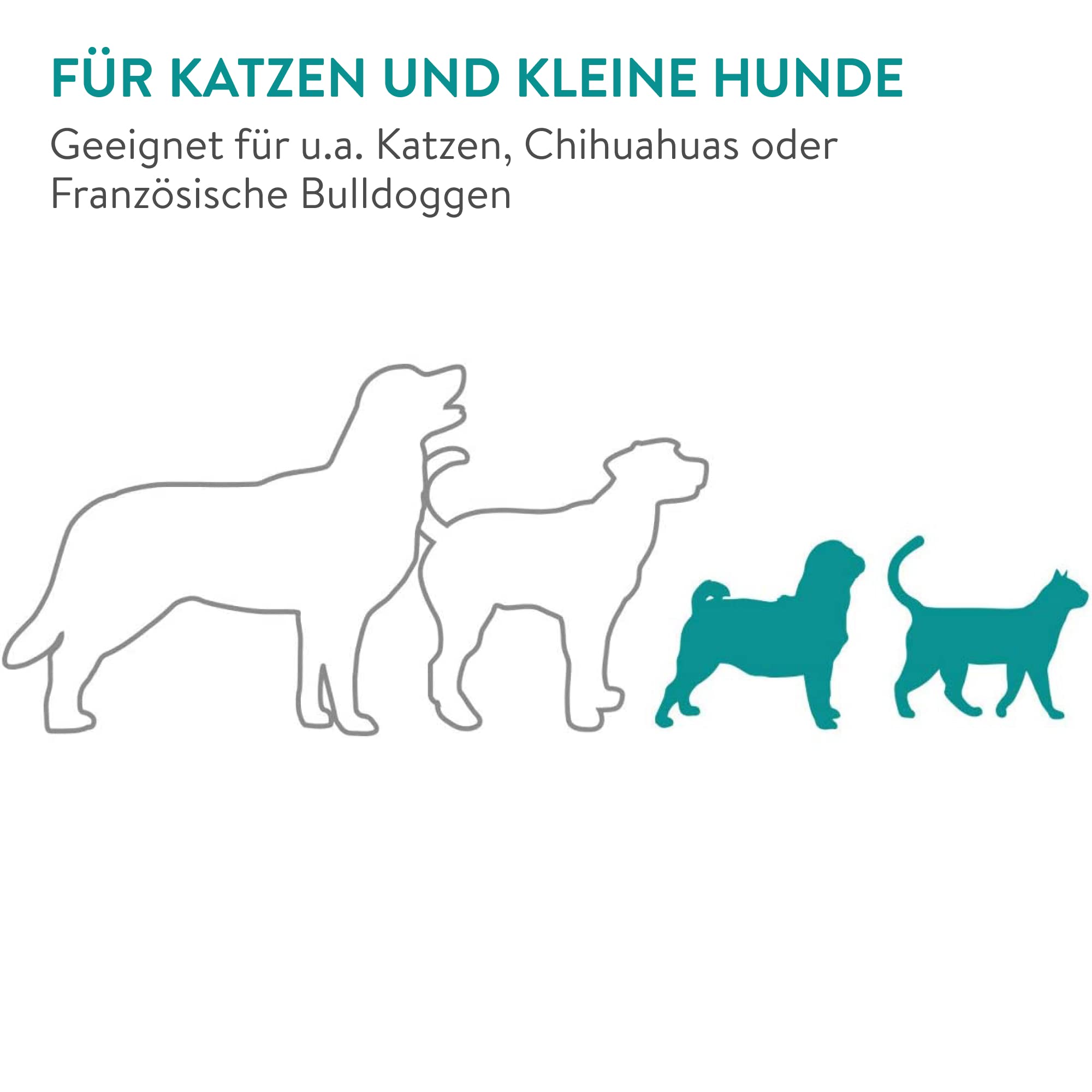 navaris-futterautomat-1-6l-timer-futterspender-katze-hund image 6