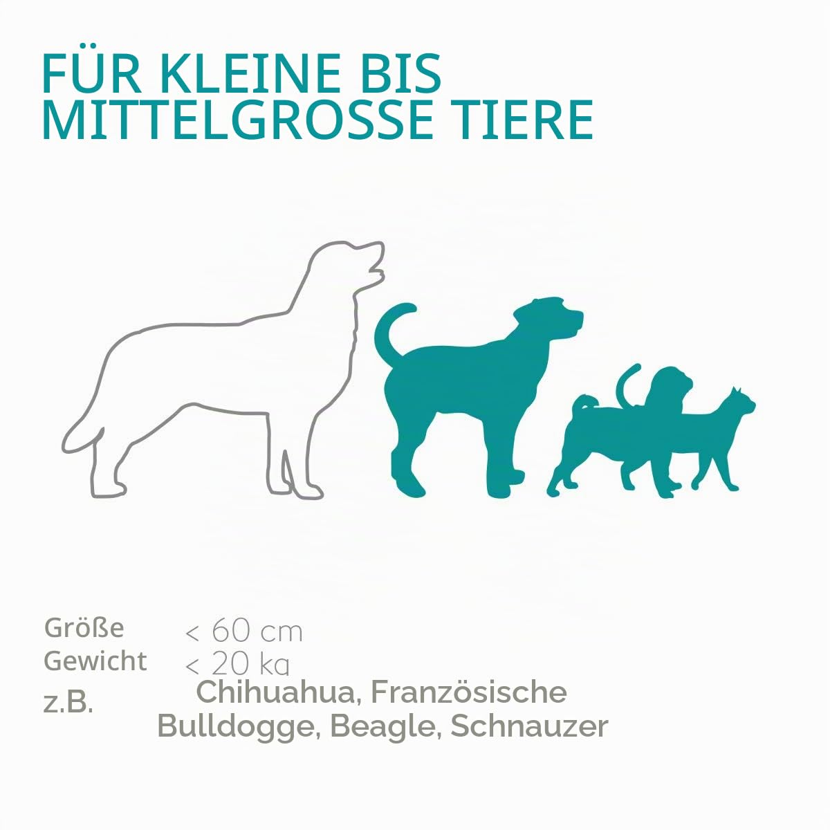 navaris-animals-futterautomat-6l-futterspender-timer-trockenfutter image 6