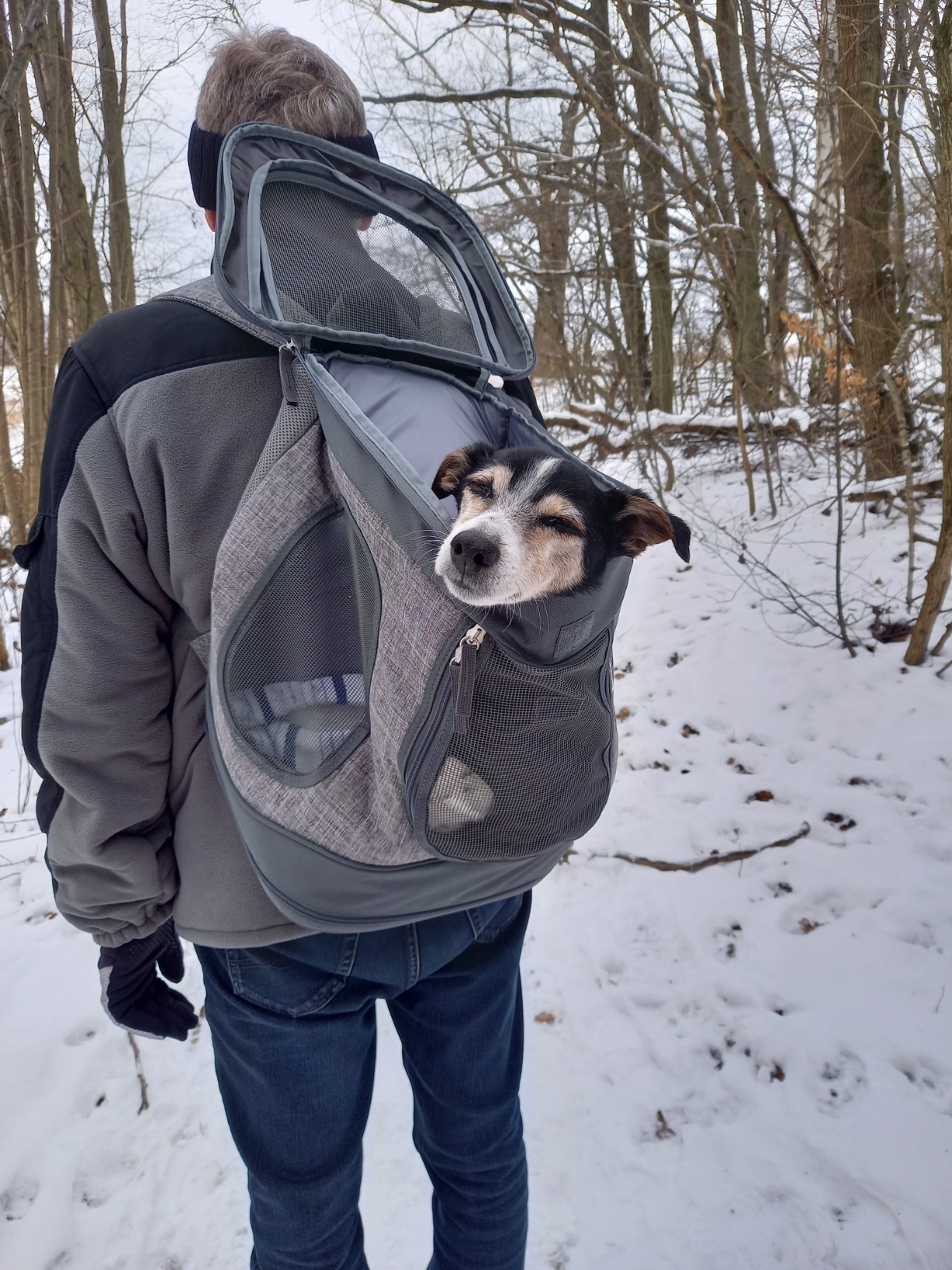 Super für den Tierarzt