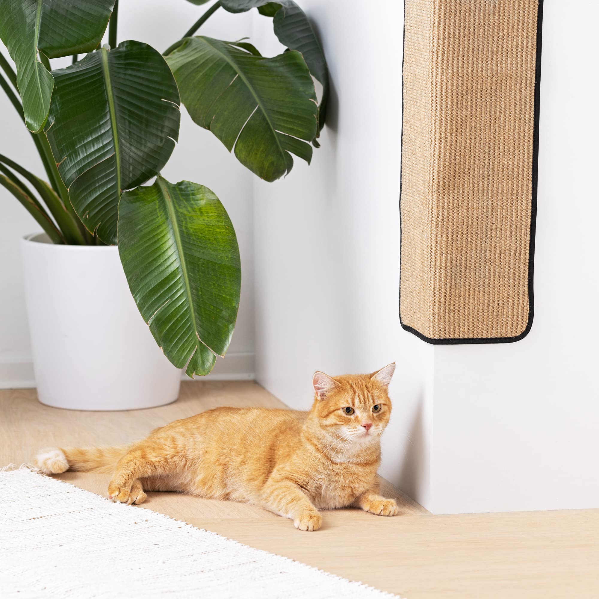 navaris-animals-kratzmatte-katze-sisal-60x32-cm-wand-boden image 8