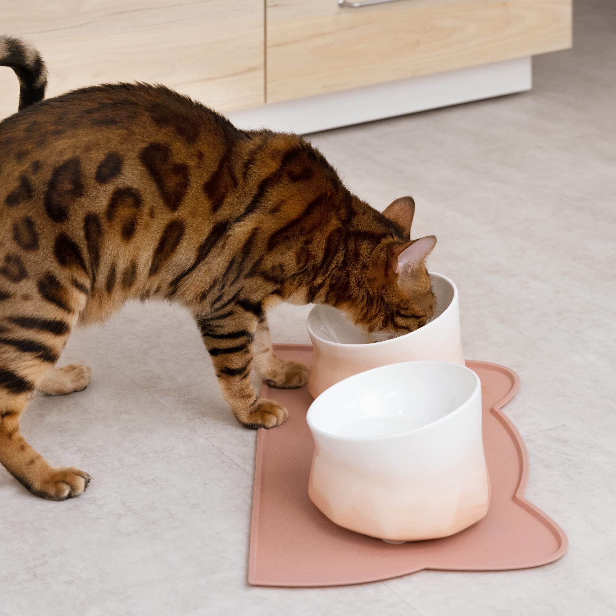 navaris-animals-futternapf-set-keramik-2x-250ml-mit-matte image 8