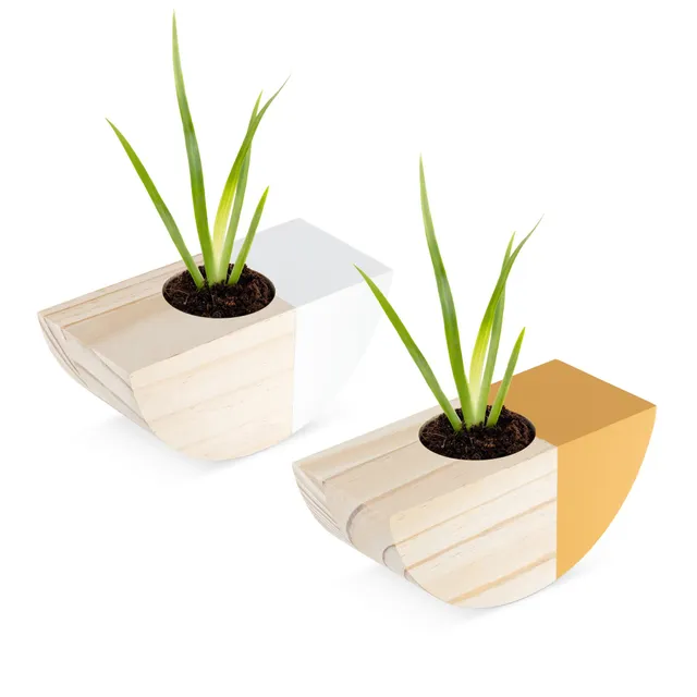 navaris-garden-wandvasen-holz-2er-set-wei-orange-6-cm image 1