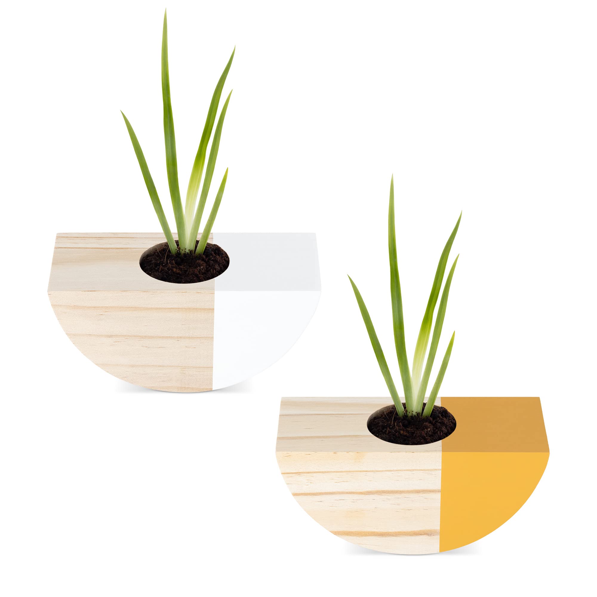 navaris-garden-wandvasen-holz-2er-set-wei-orange-6-cm image 7