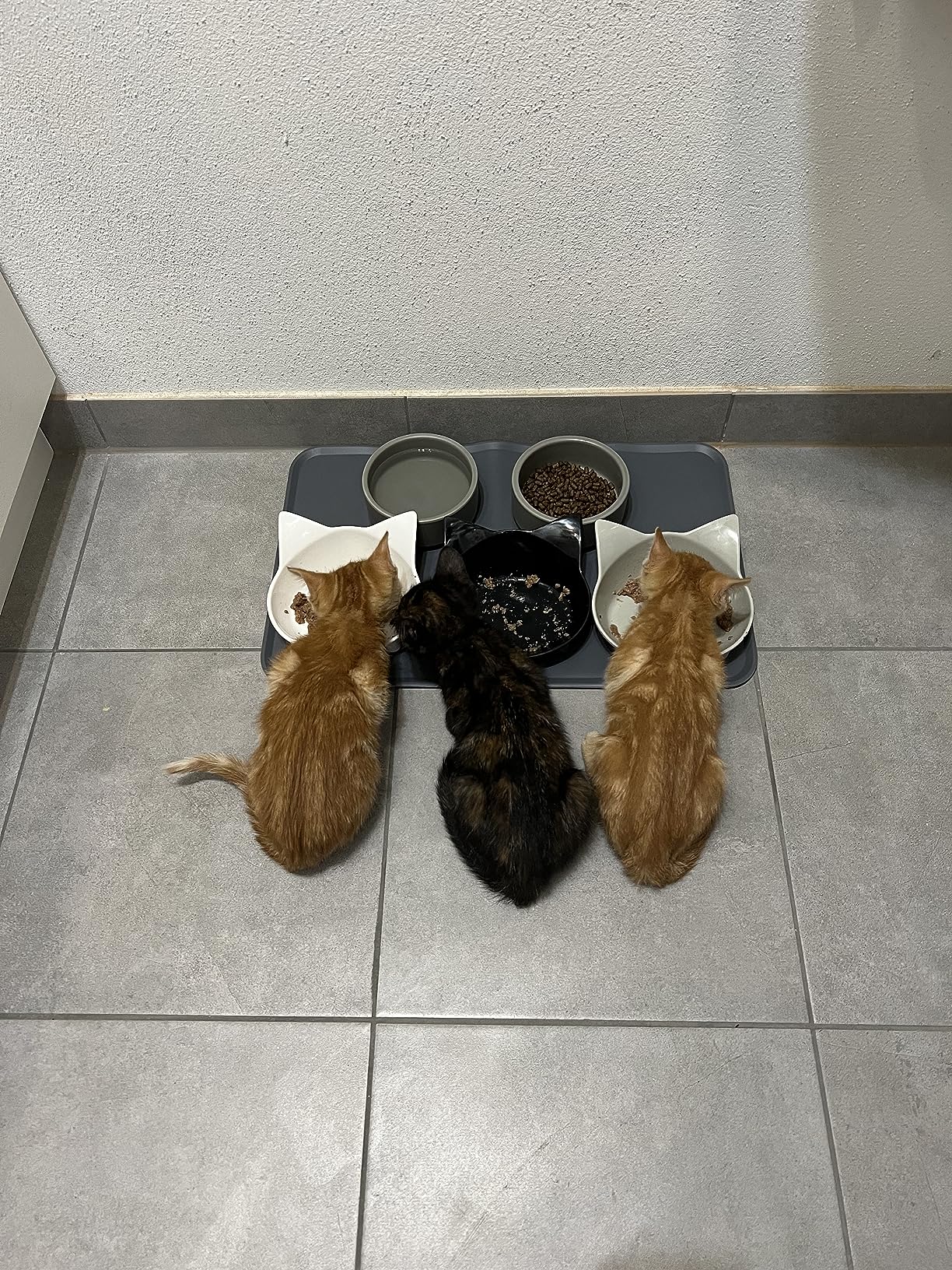 Süße Näpfe