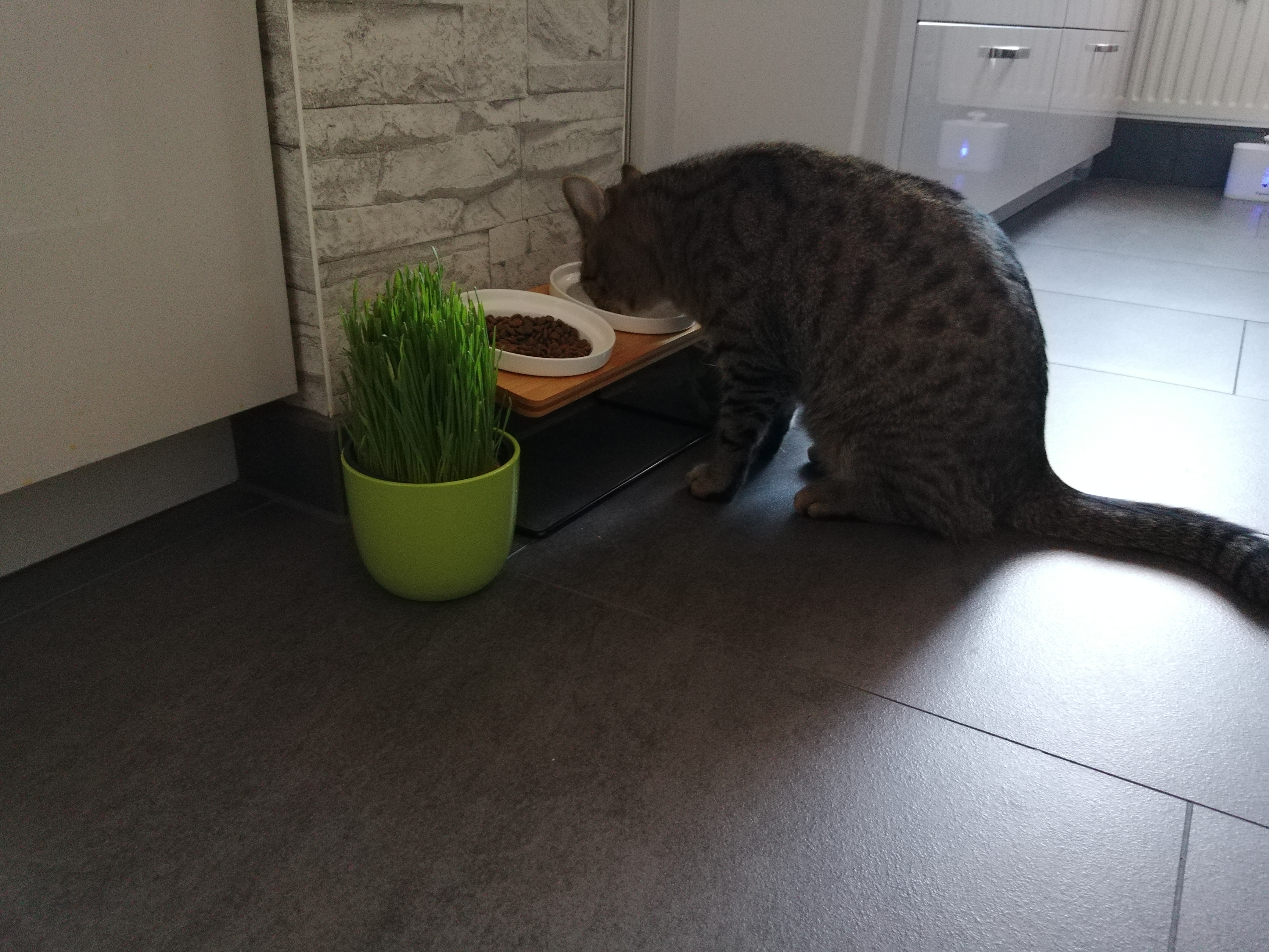 Tolle Qualität
