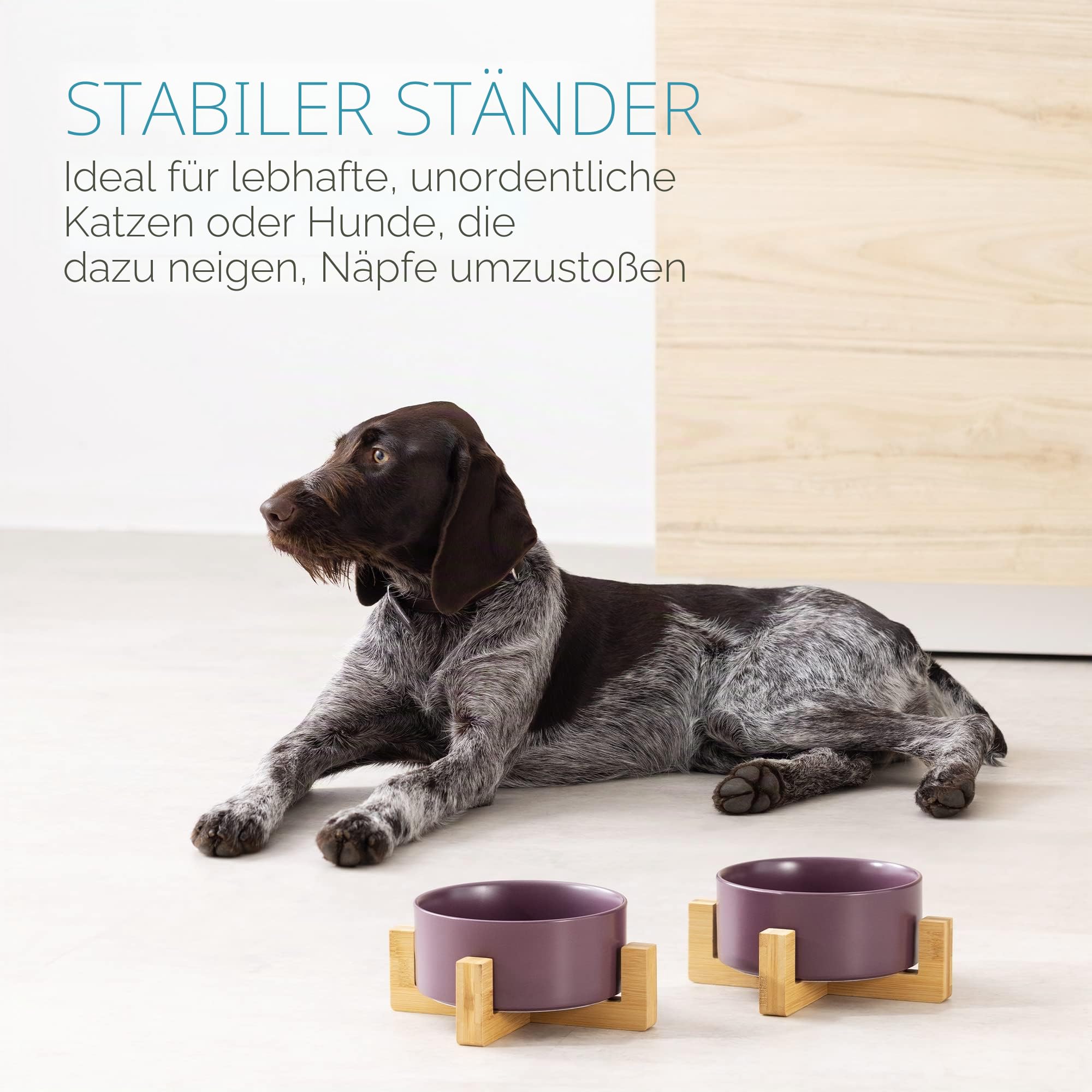 navaris-animals-futterstation-2er-keramiknapf-violett-850-ml image 5