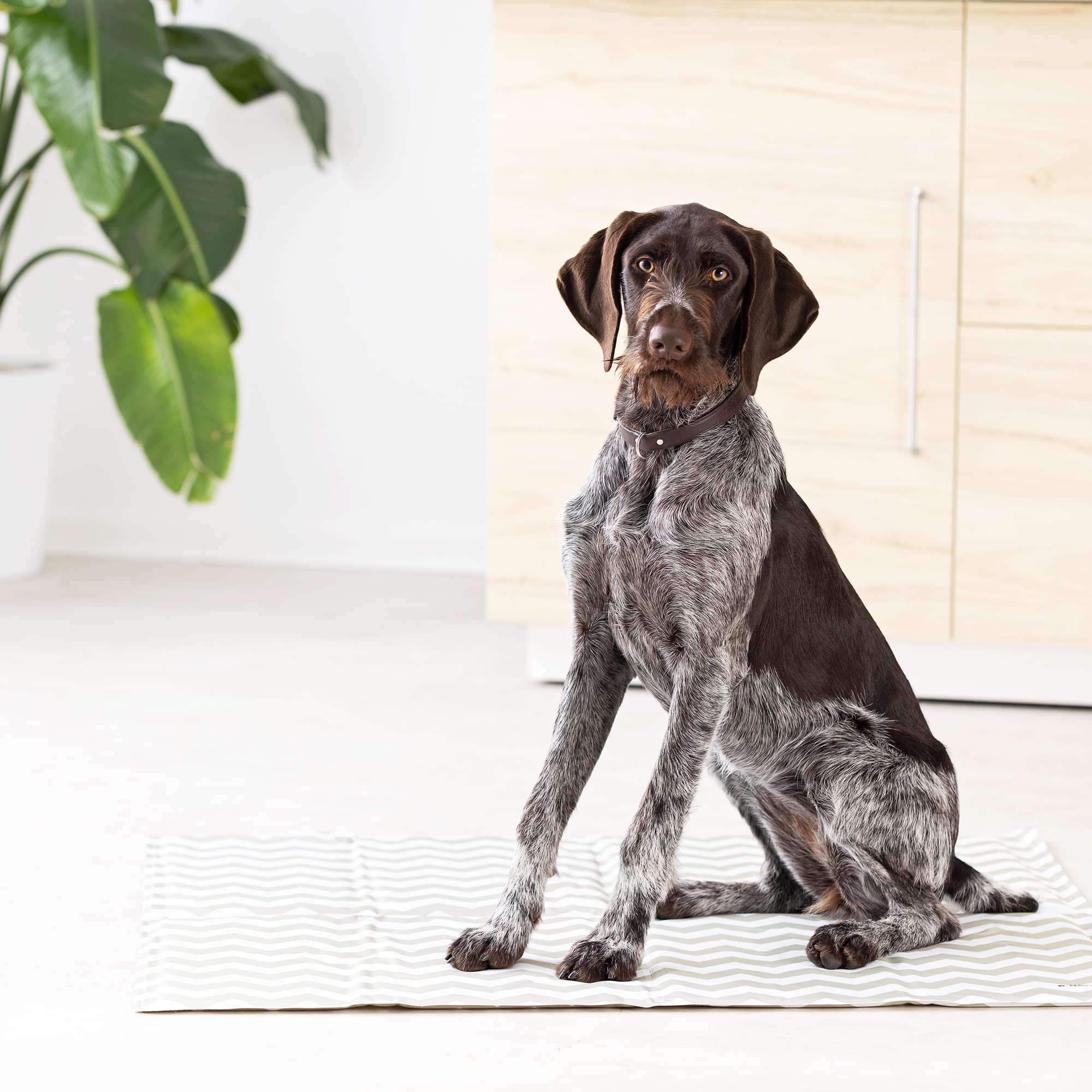 navaris-animals-k-hlmatte-81-x-96-cm-xxl-selbstk-hlend-hunde image 8