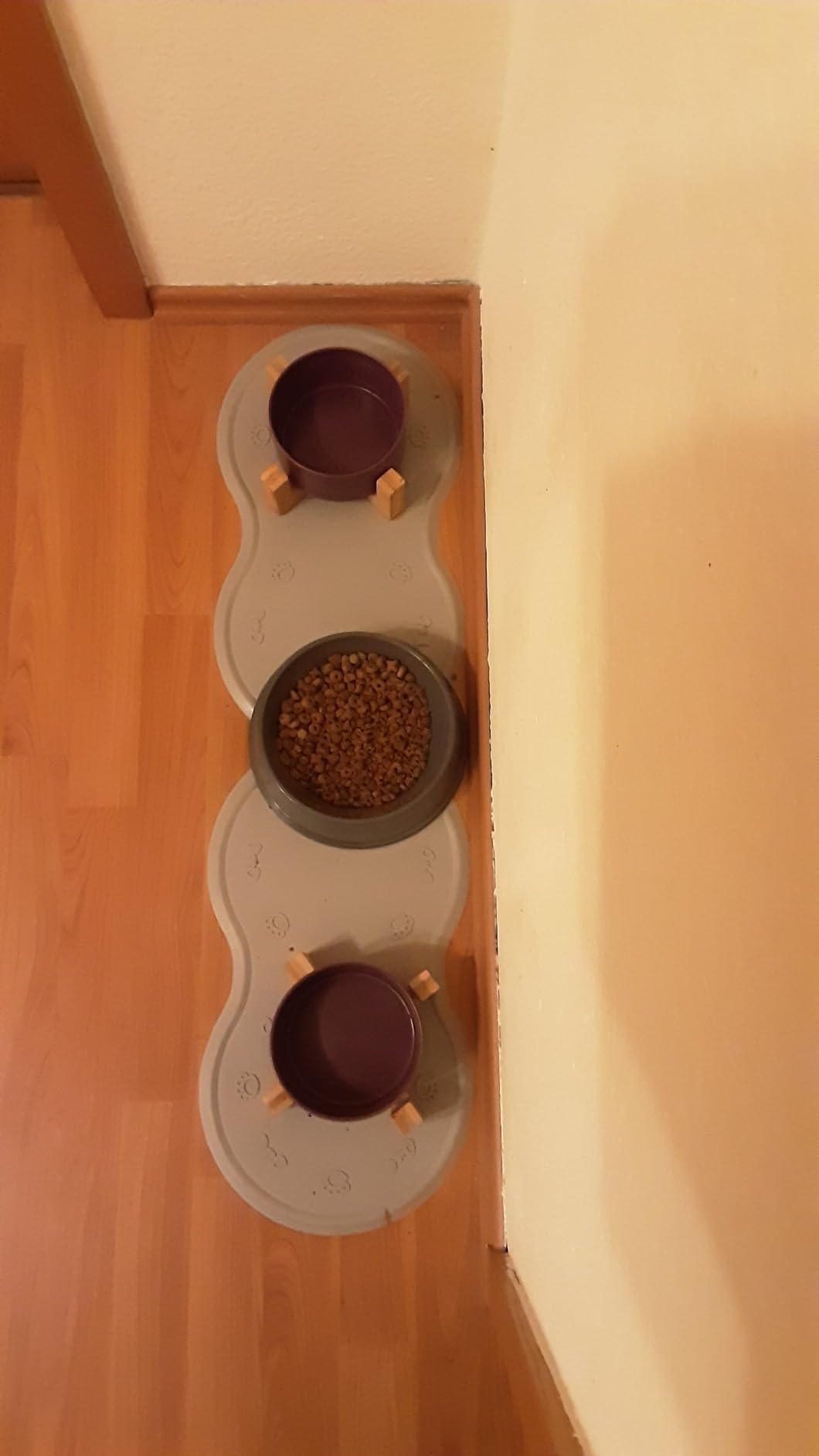 Unser Kater liebt sie