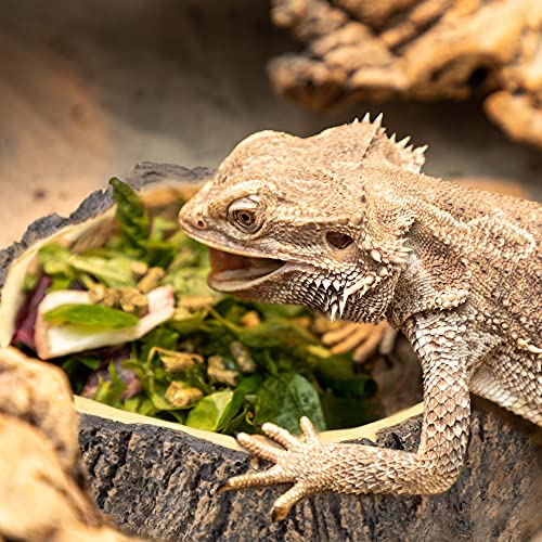 navaris-animals-reptilien-napf-set-2tlg-baumstamm-polyresin image 7