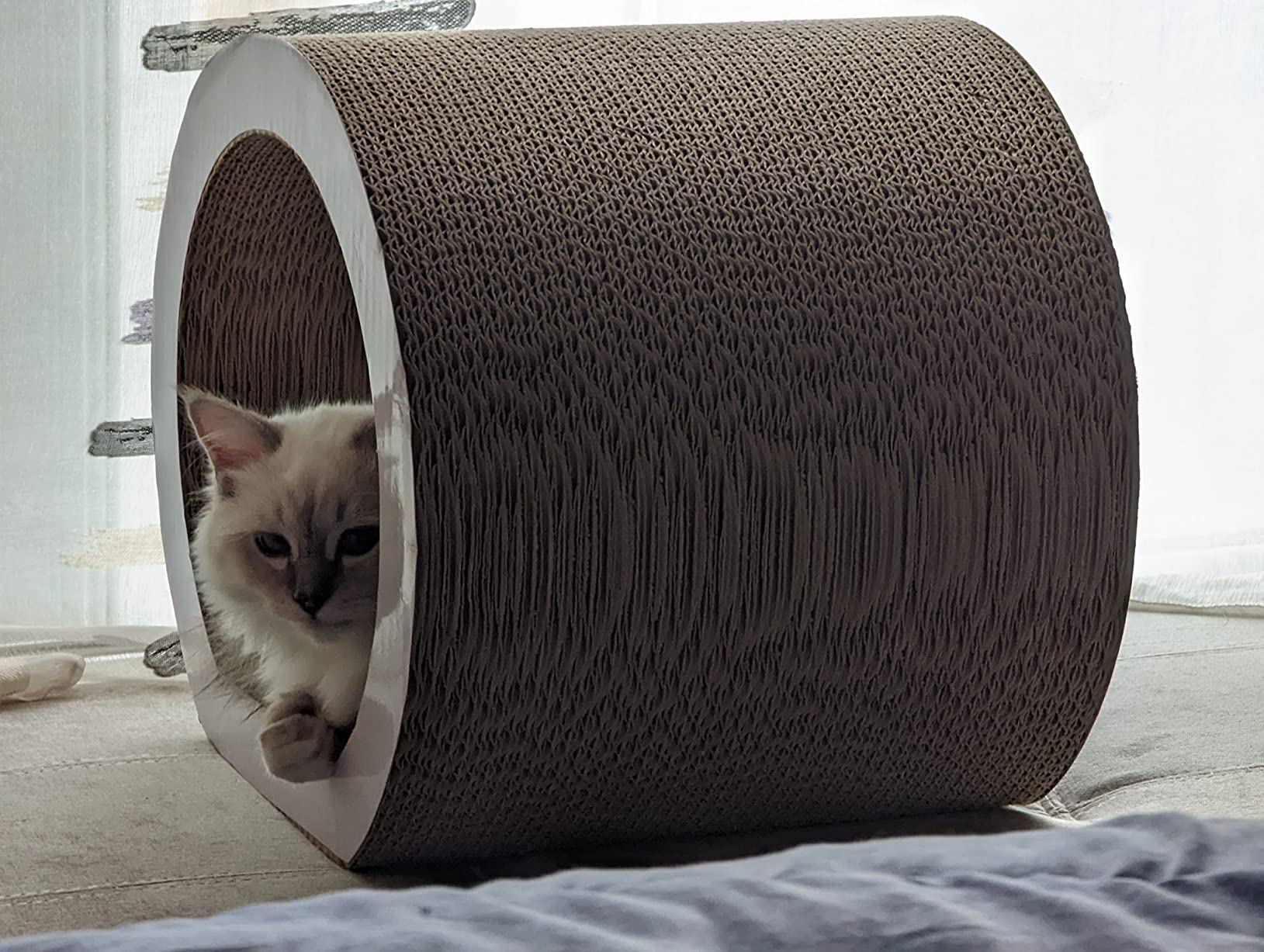 Katzen lieben es