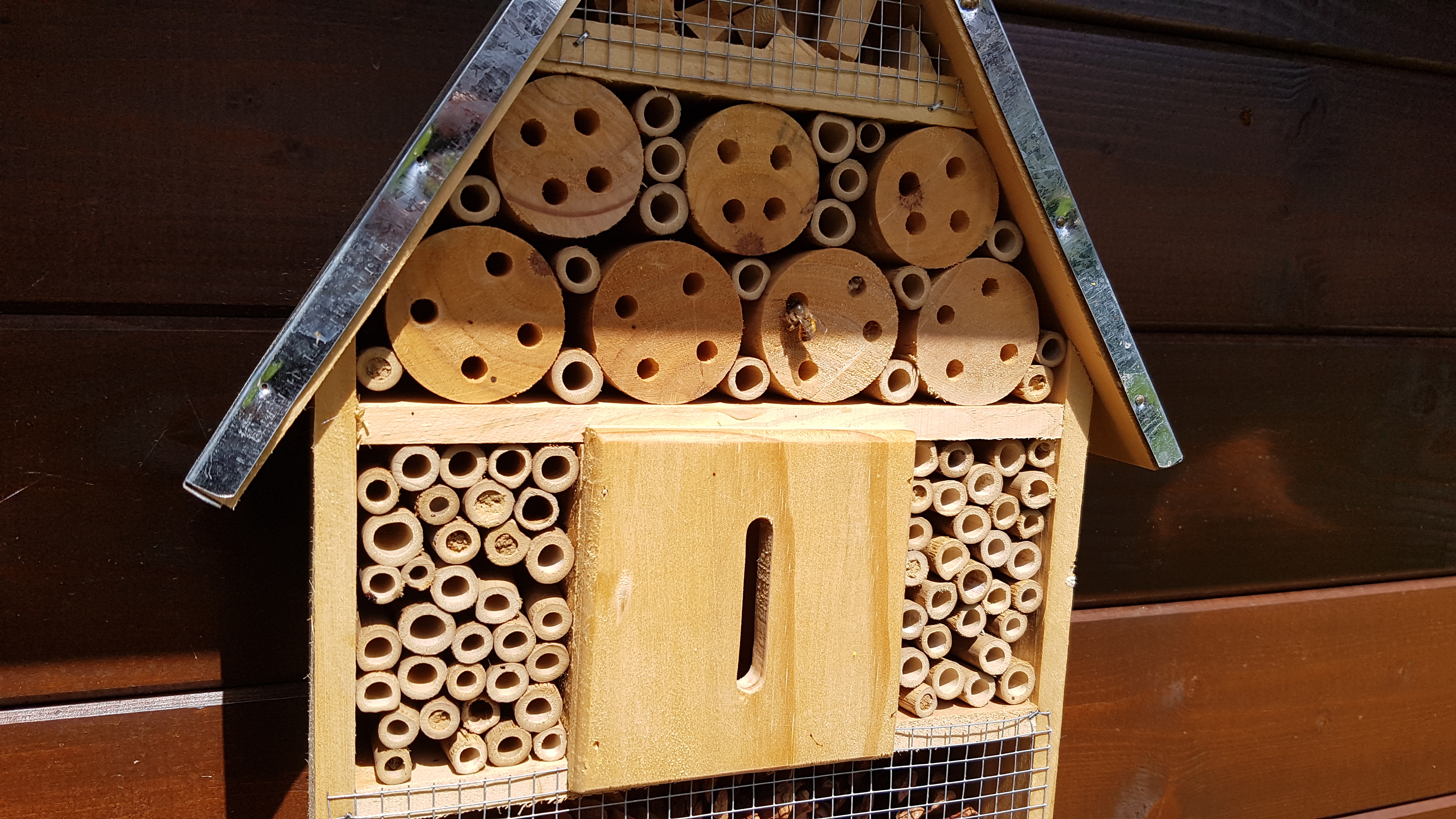 Schmetterlinge da