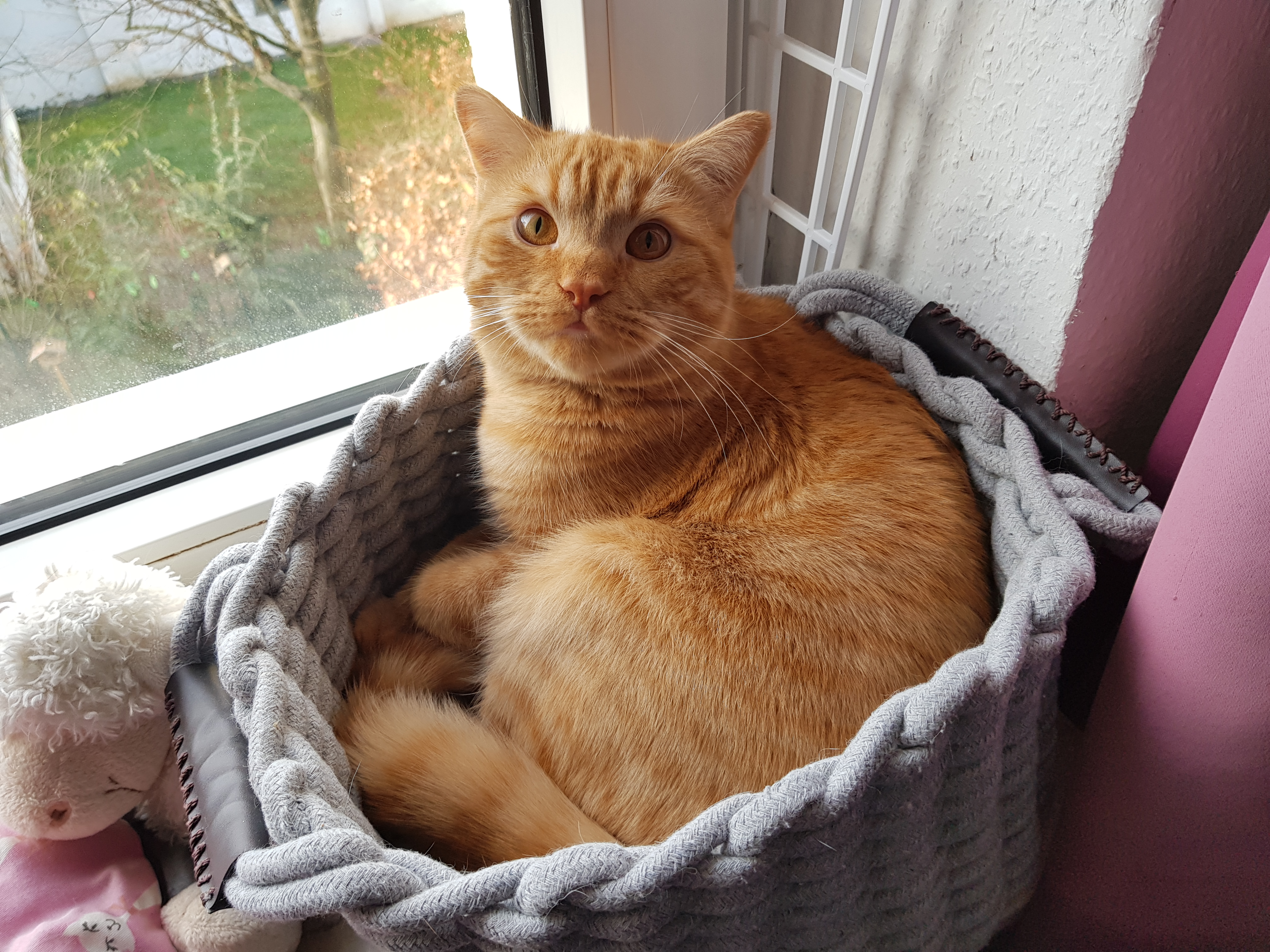 Klein aber fein