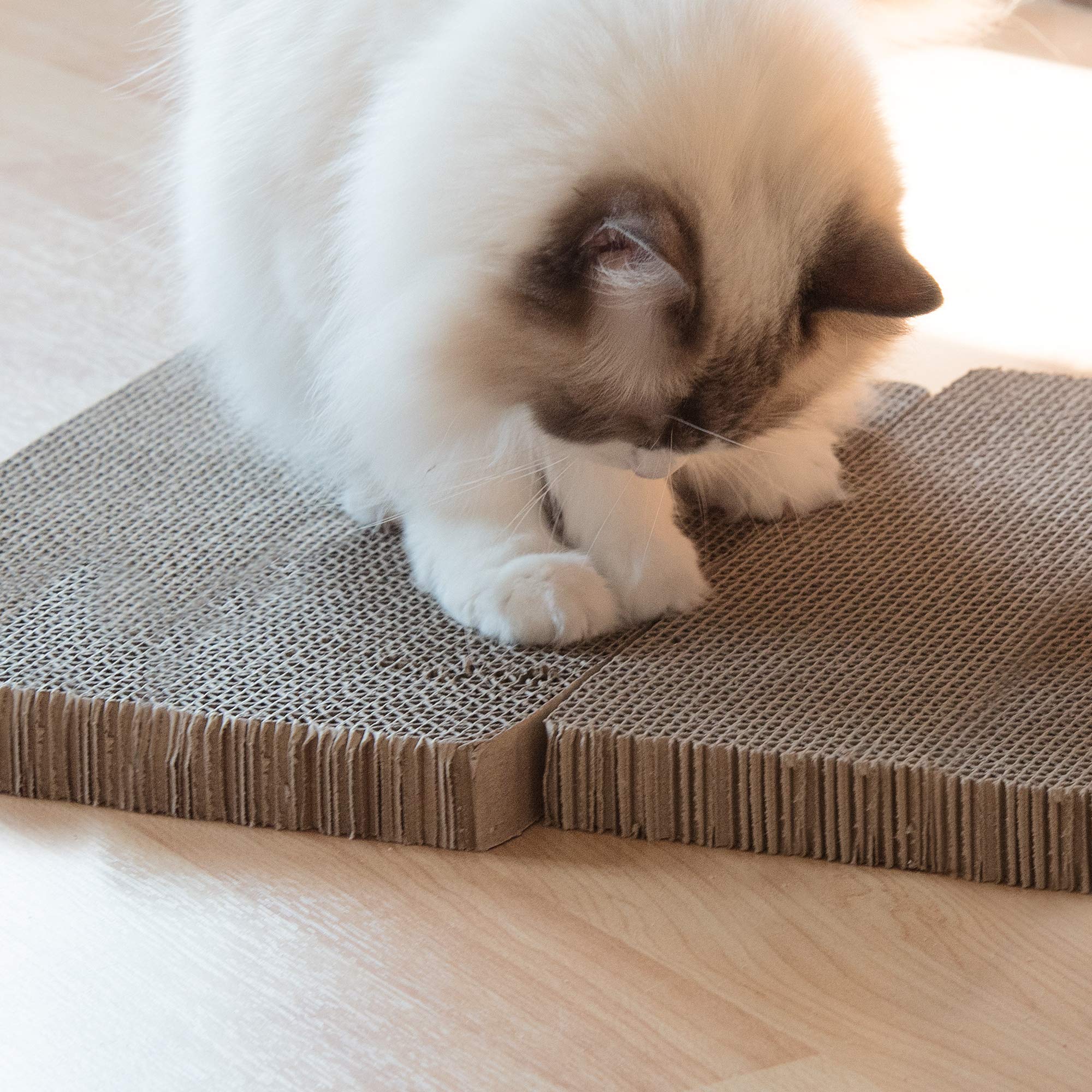 navaris-katzen-kratzbrett-3er-set-karton-43x24cm-beidseitig image 6