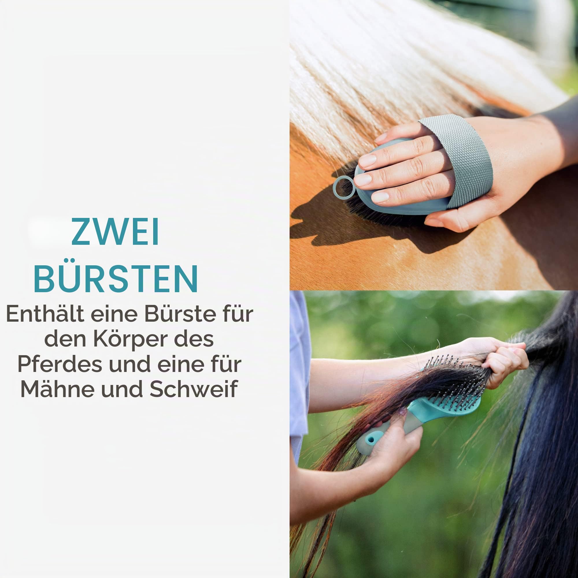 navaris-animals-pferdepflege-set-2tlg-m-hnenb-rste-kard-tsche image 2