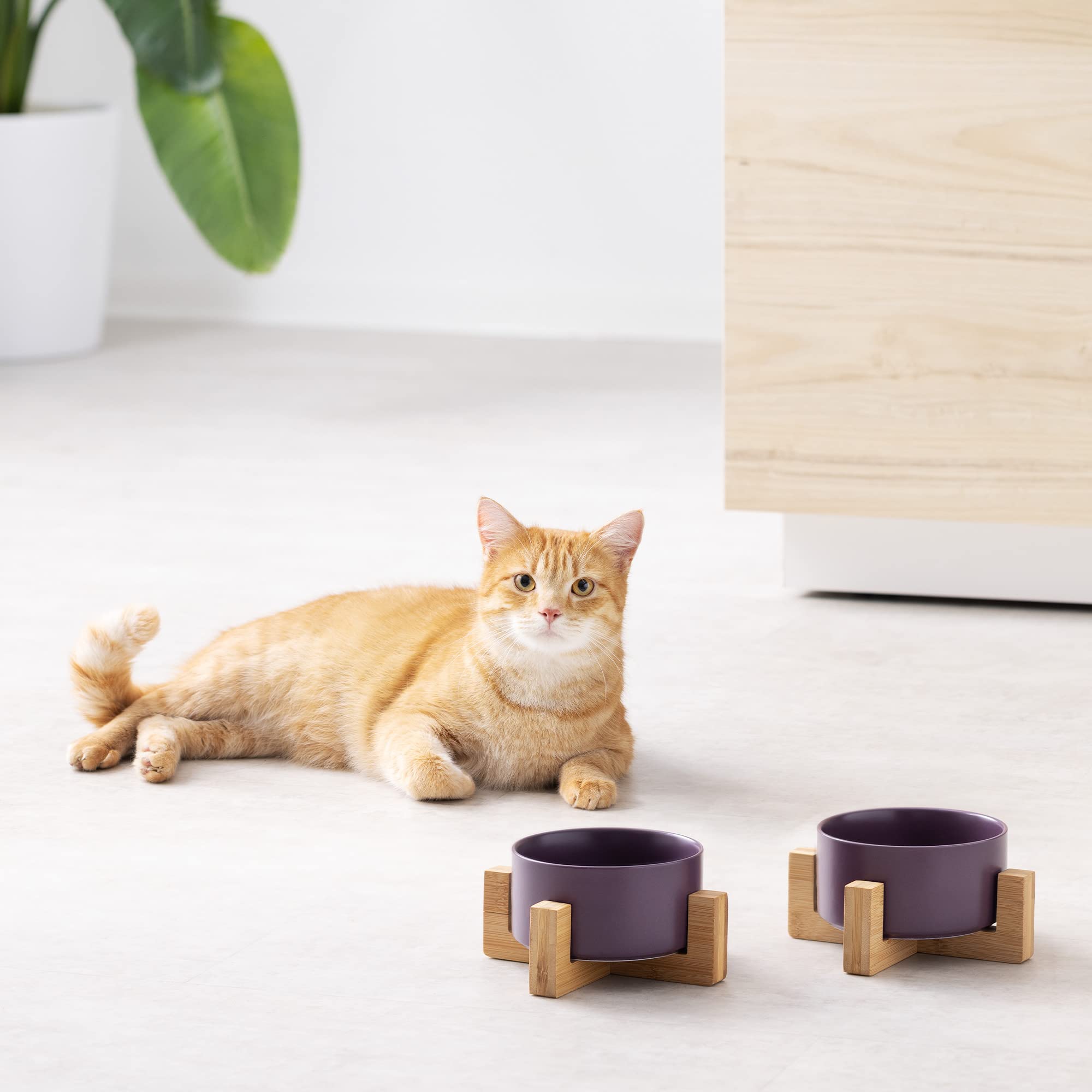 navaris-animals-futterstation-2er-keramiknapf-violett-550-ml image 2