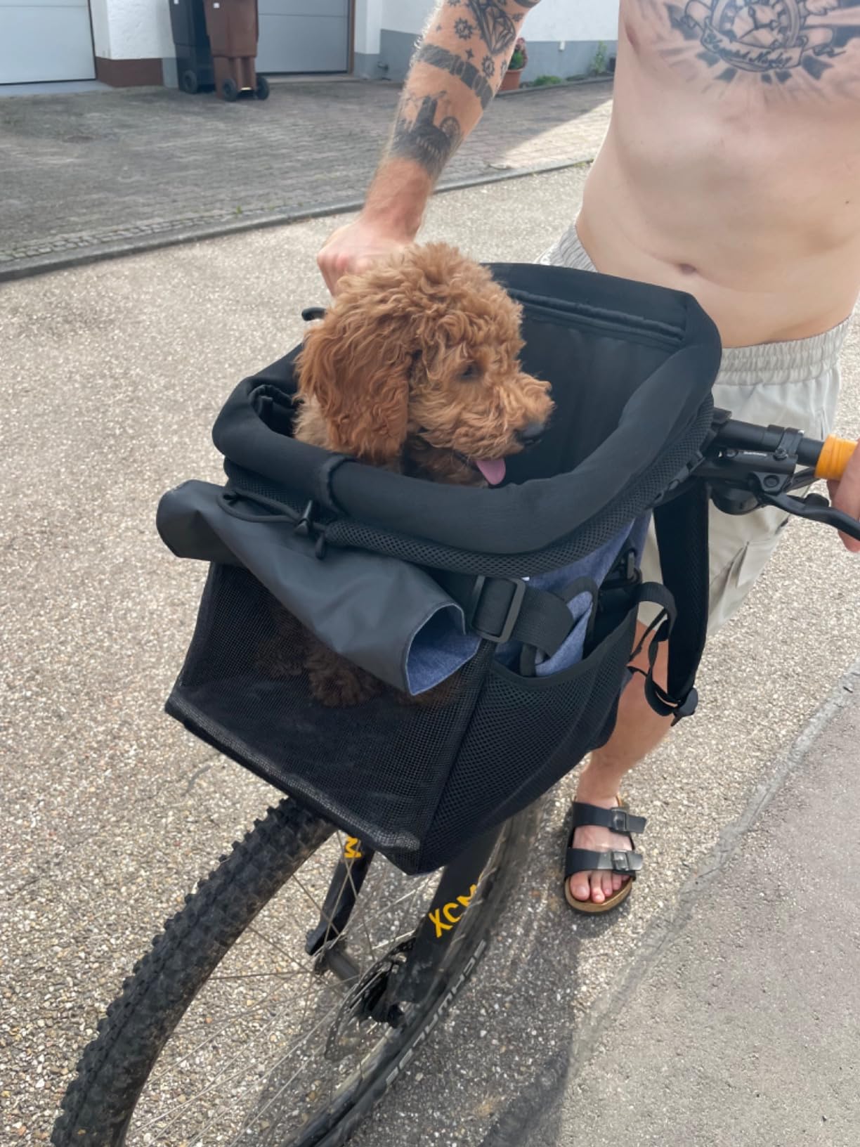 Stabiler Rucksack