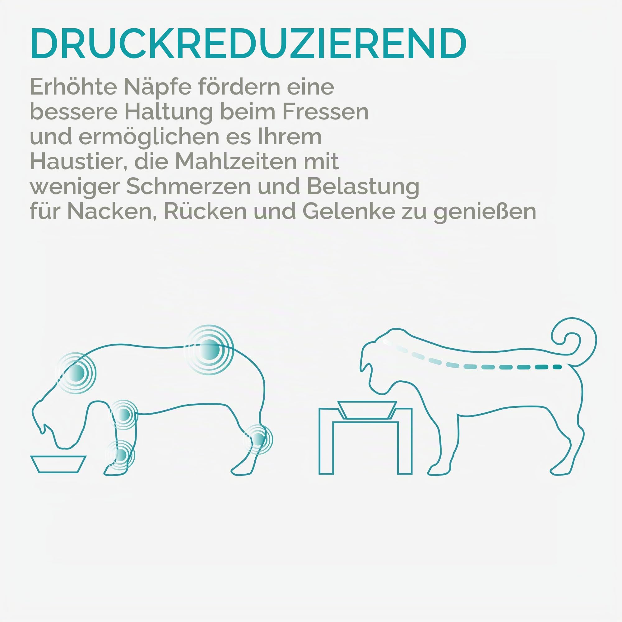 navaris-futternapf-katze-keramik-bambus-halter-futterstation image 6