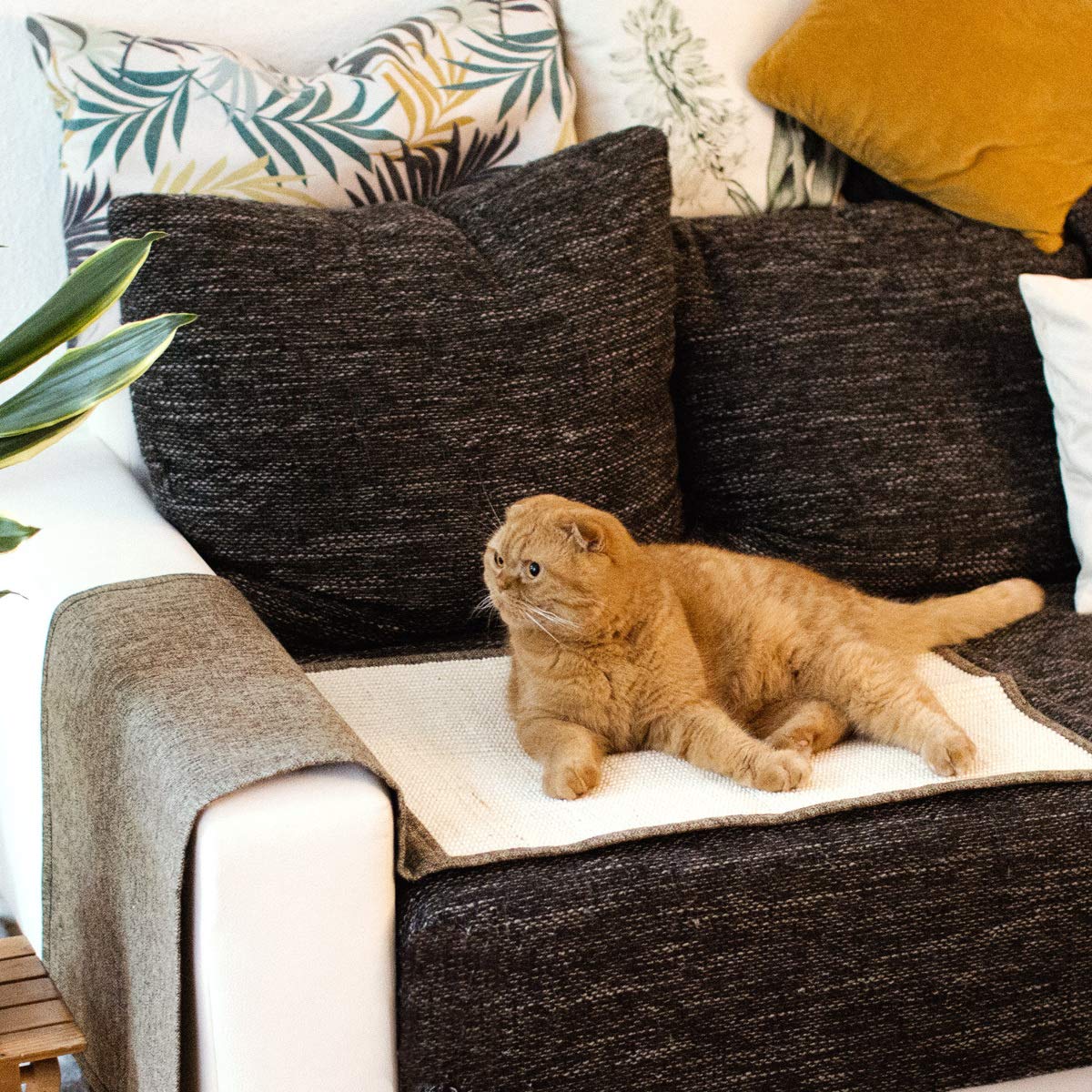 navaris-kratzmatte-katze-sisal-130x45cm-sofa-kratzschutz image 5