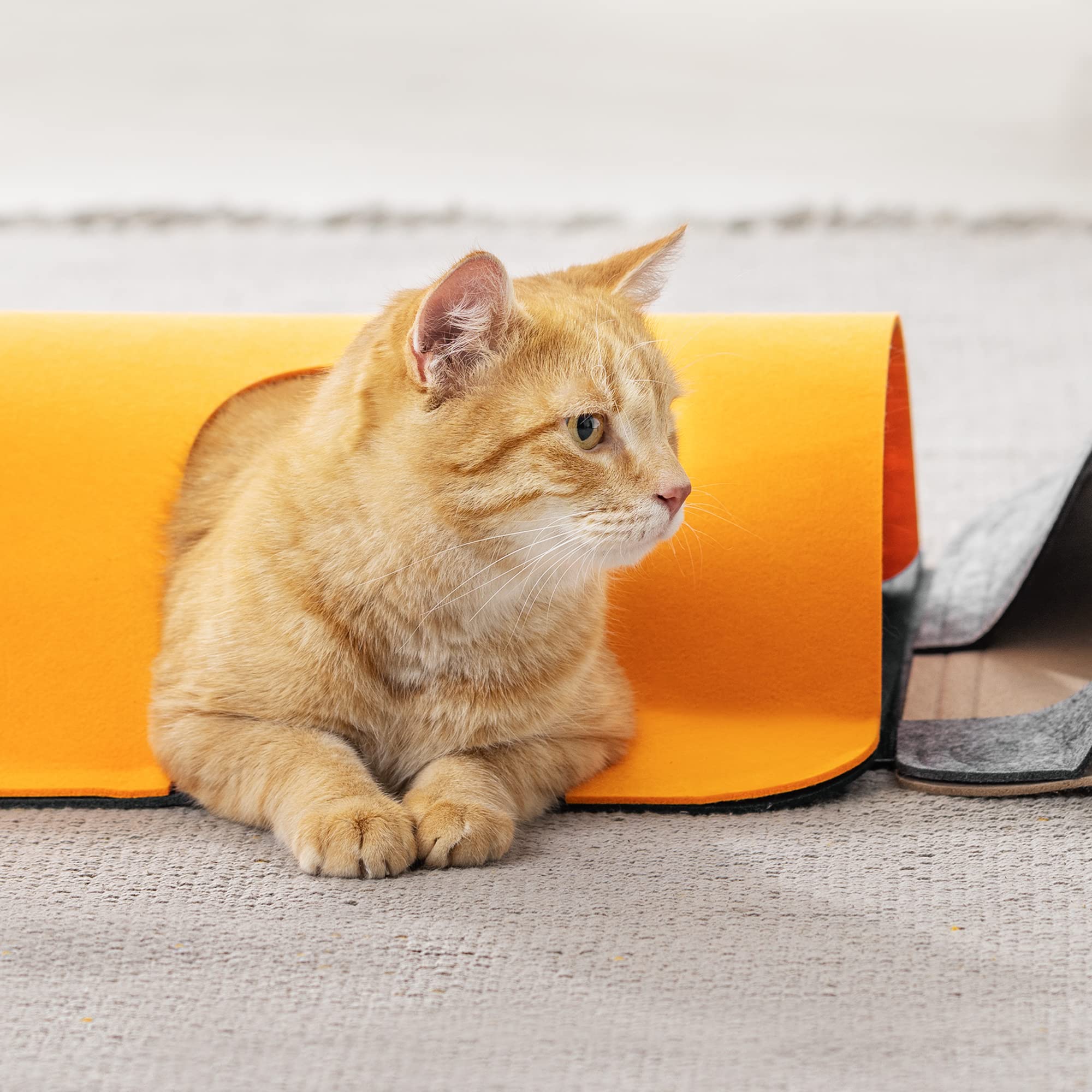 navaris-animals-spielteppich-katzen-interaktiv-100x48-cm image 4