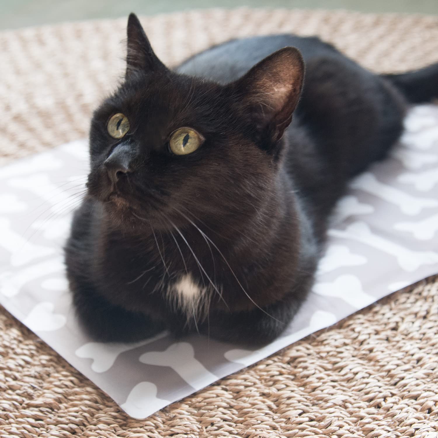 navaris-k-hlmatte-hund-katze-40x50-cm-selbstk-hlend-gel image 3