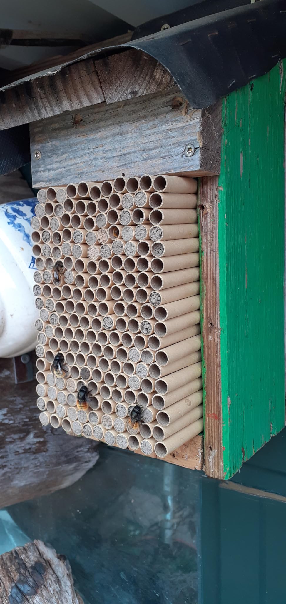 Bienen lieben es