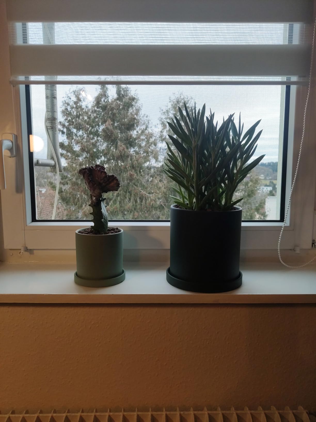 Schöne Farbe